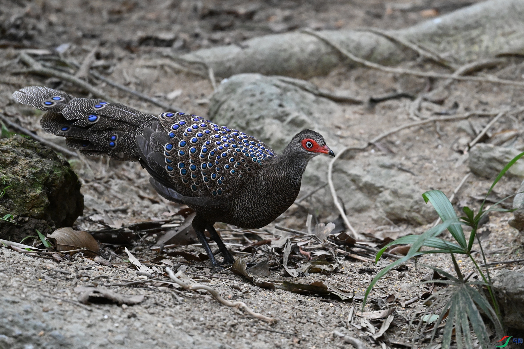 DSC_7629.JPG