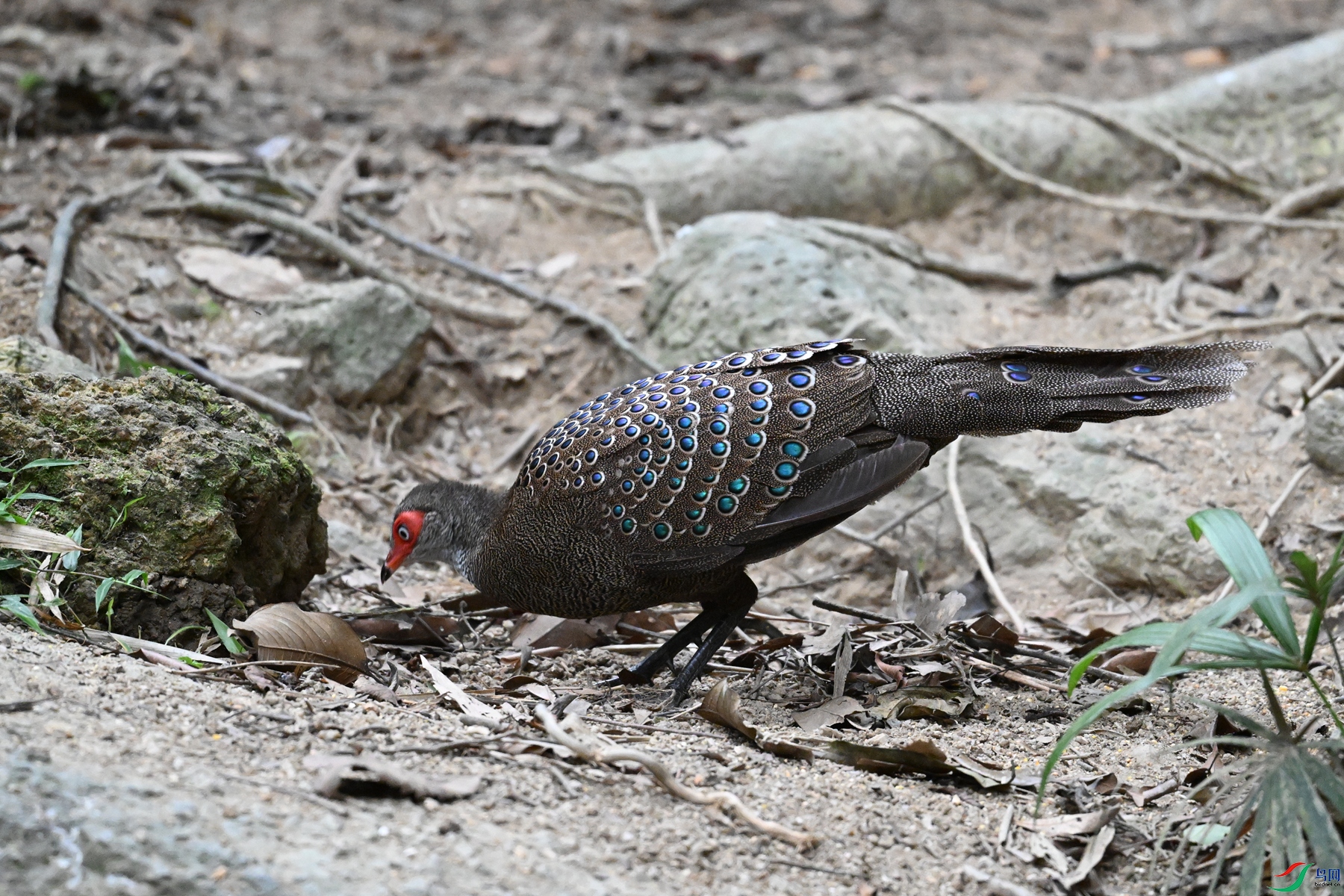 DSC_7628.JPG