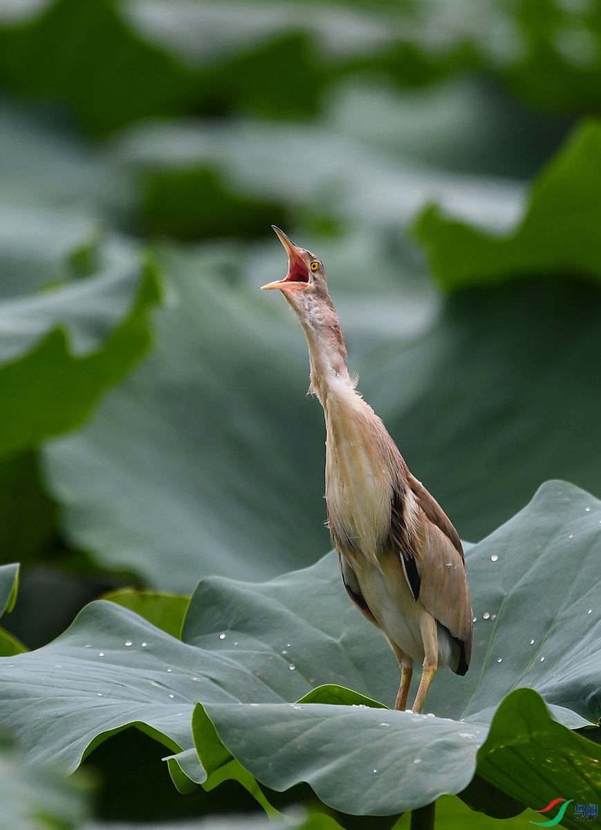 DSC_9167.JPG