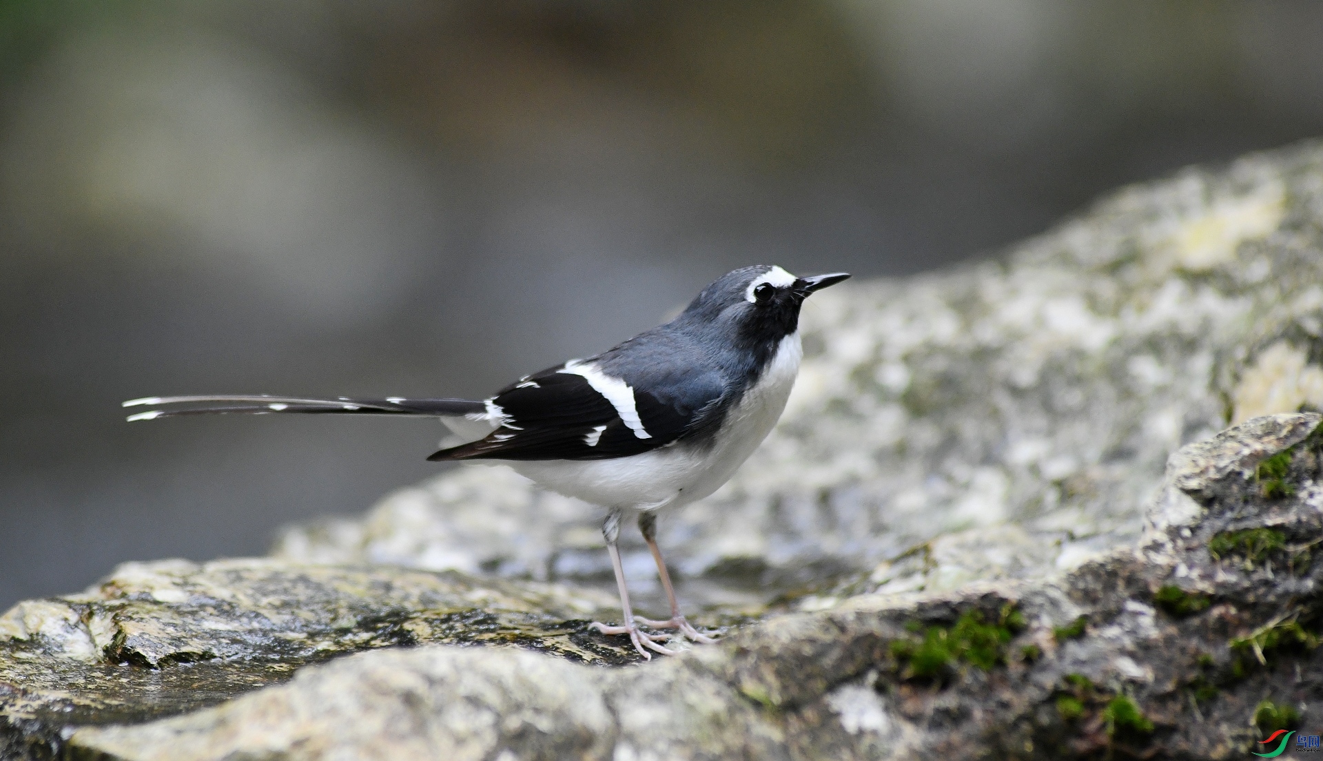 DSC_9499.jpg