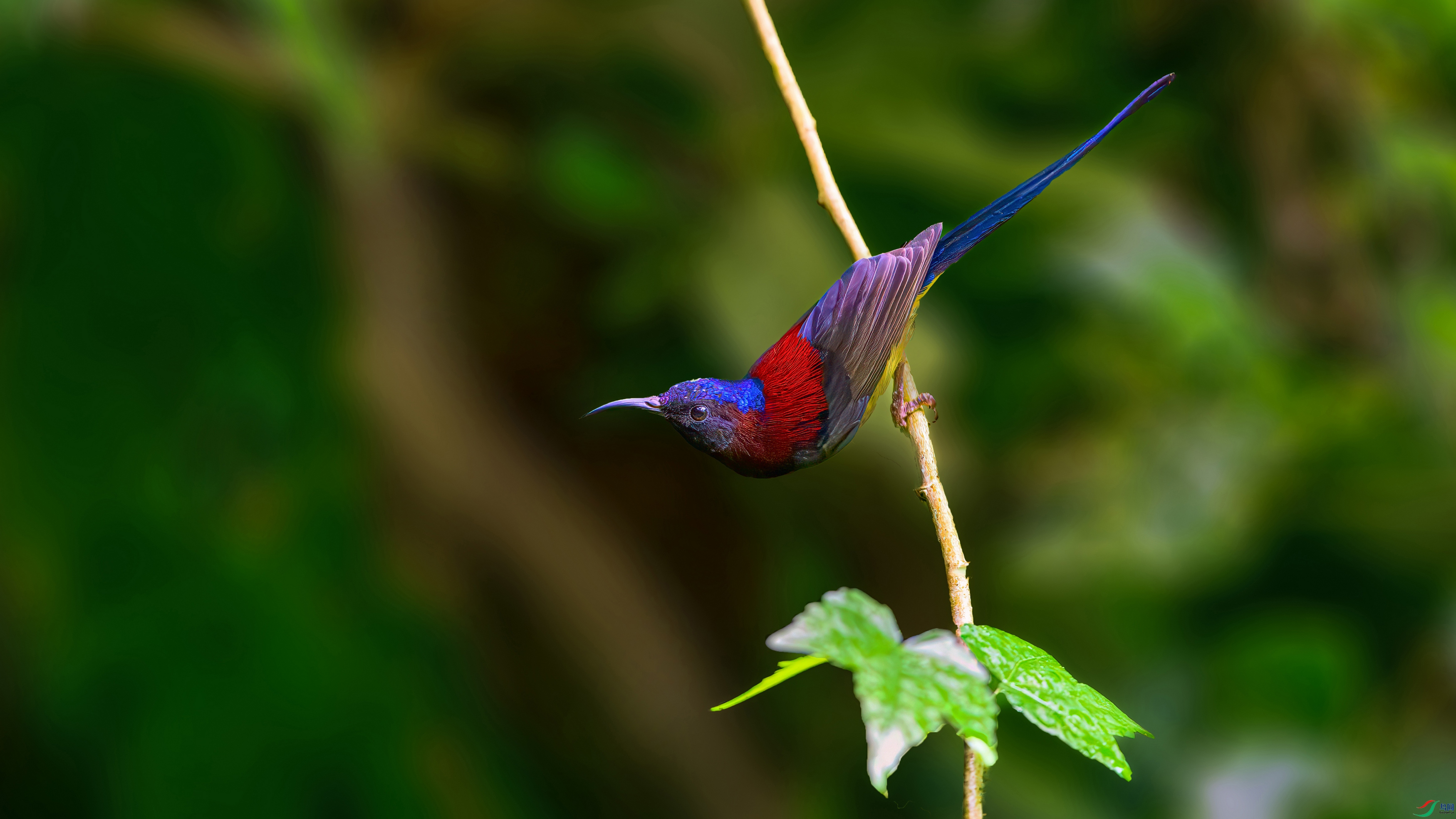��ƬDSC_3300-����ǿ-NR.jpg