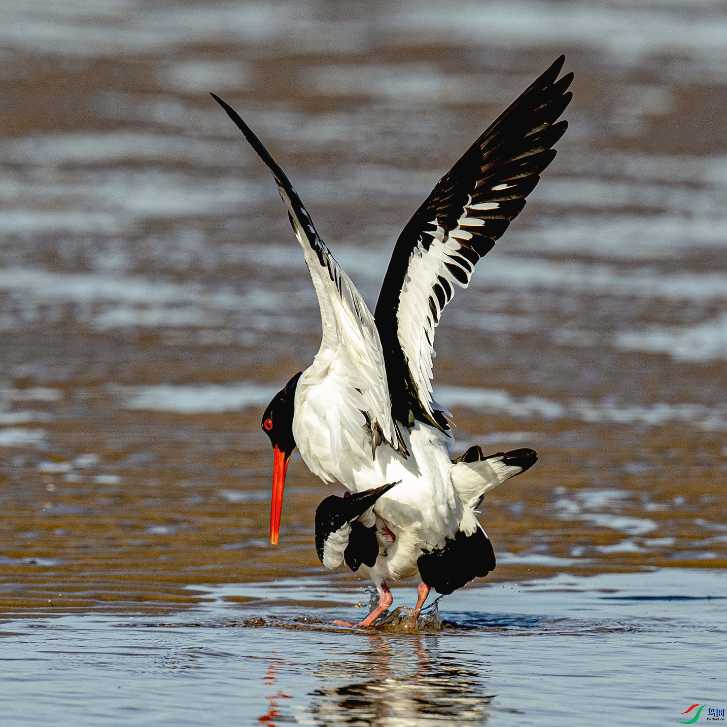 _90I5367 ���� 2.jpg