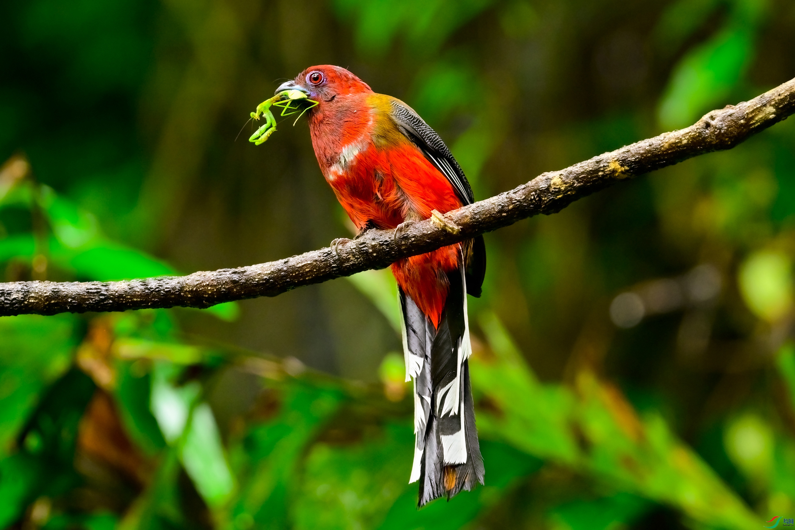 _DSC8059x.jpg