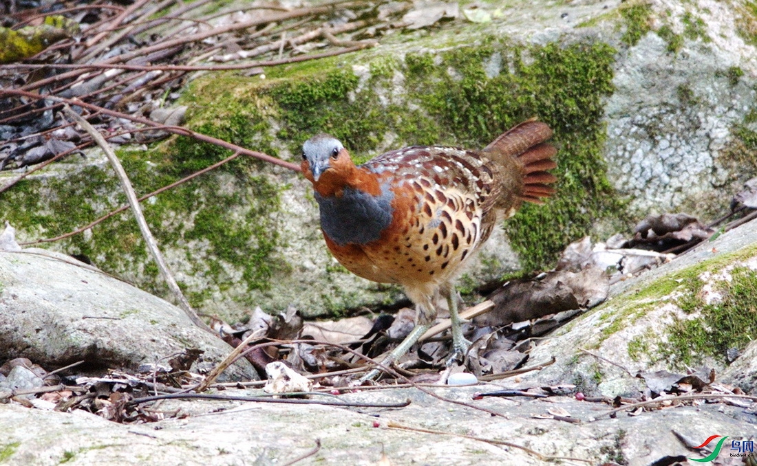DSC_6796zx_������С.jpg