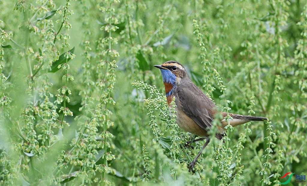 DSC_3342.JPG