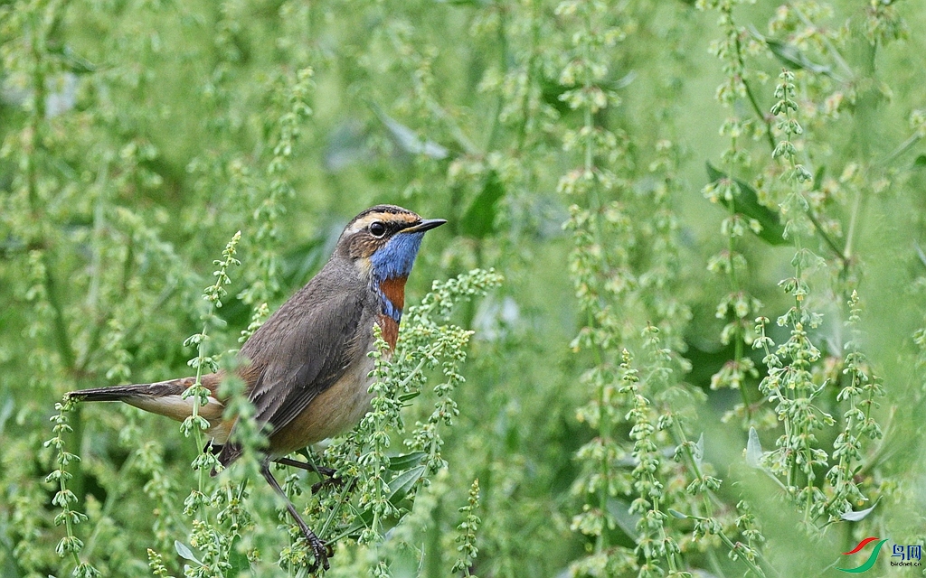 DSC_3345.JPG