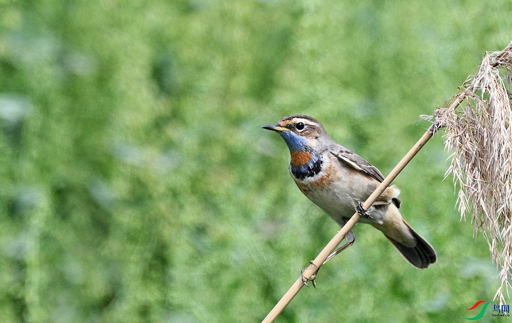 DSC_3384.JPG