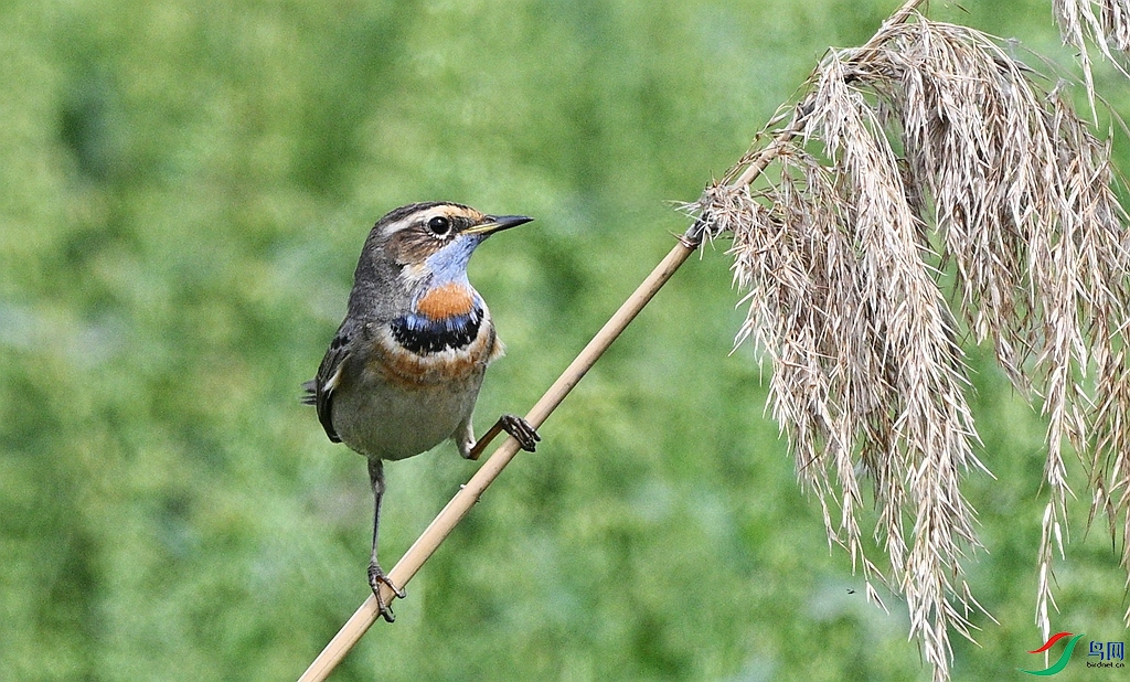 DSC_3402_����.jpg