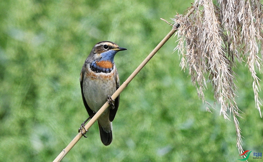 DSC_3422.JPG
