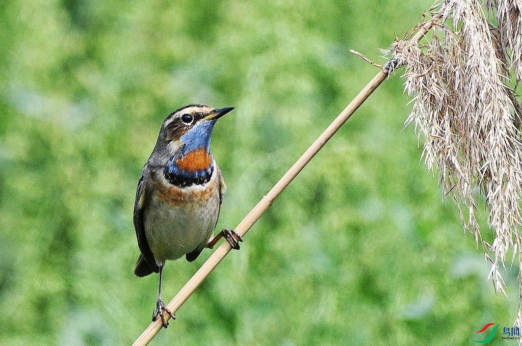 DSC_3437.JPG