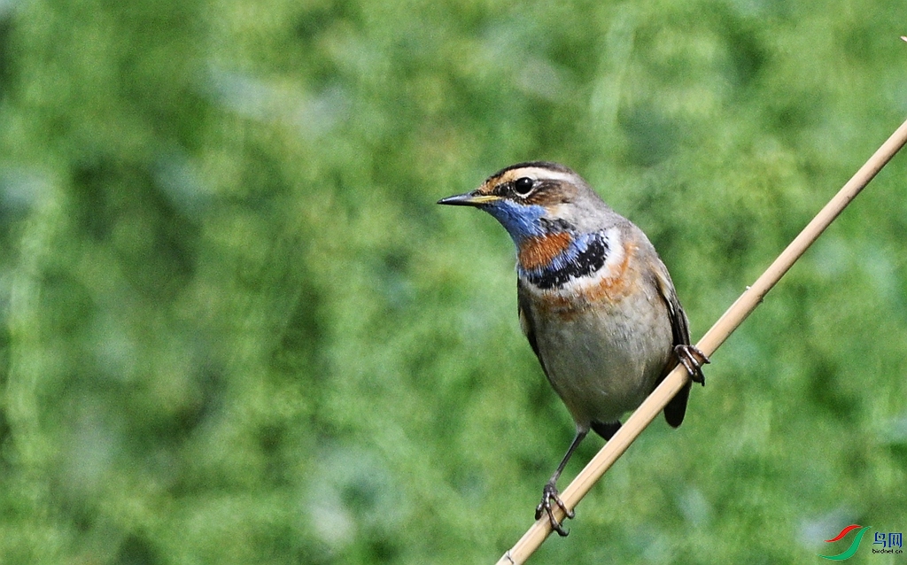 DSC_3469.JPG
