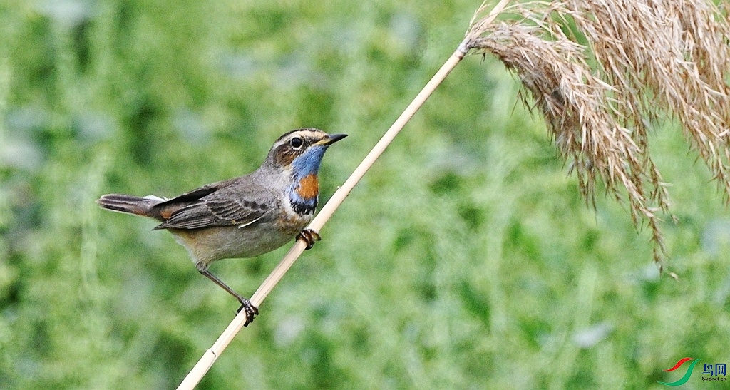 DSC_3638.JPG