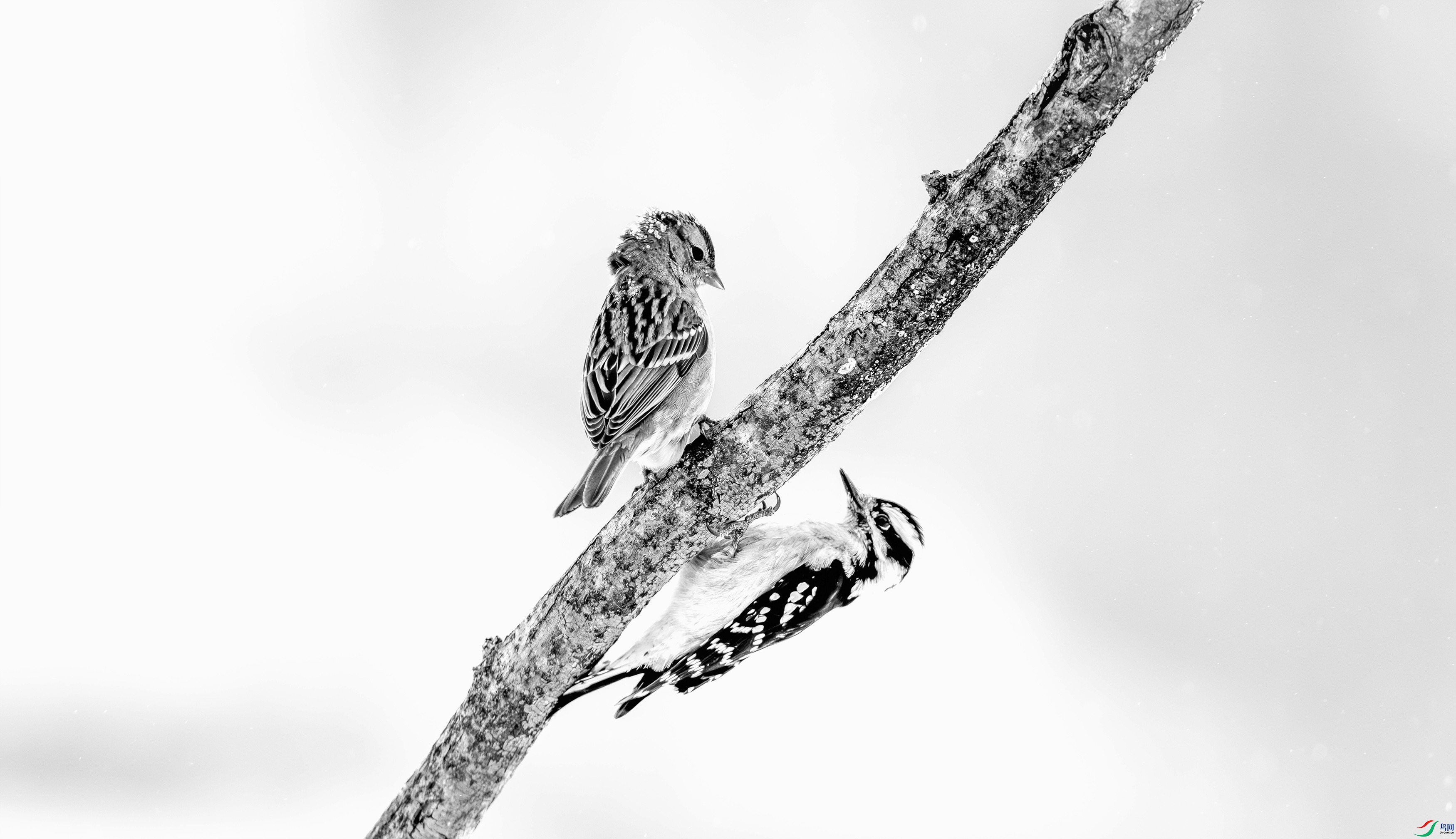 412A7848-1-1_����=00.jpg