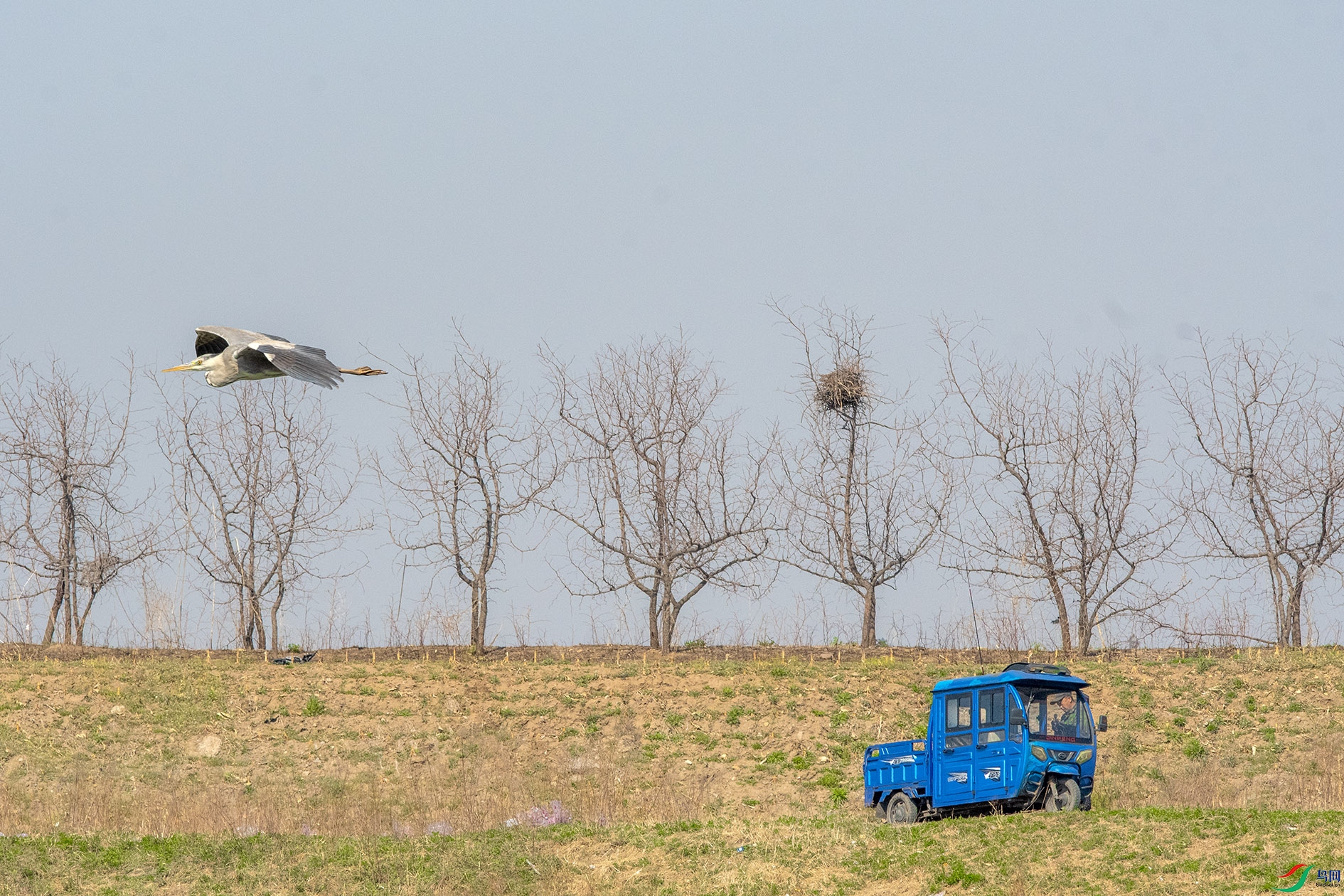 DSC_5740_��ͼ�� ����.jpg