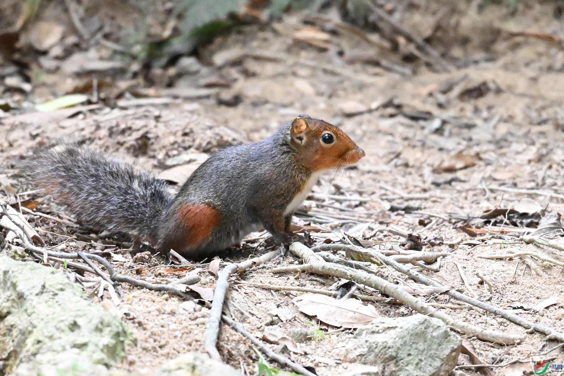 DSC_7568.JPG