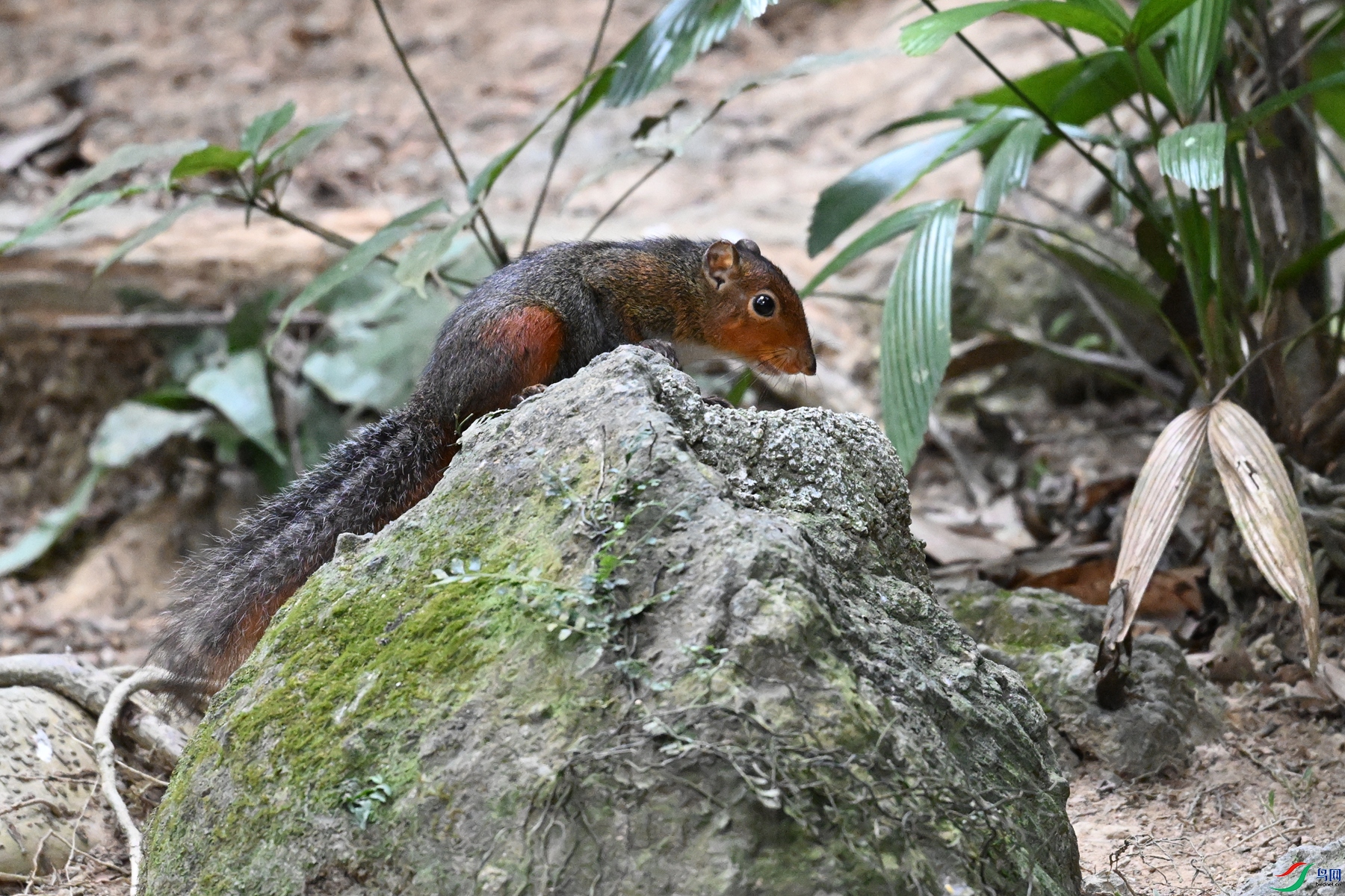 DSC_7571.JPG