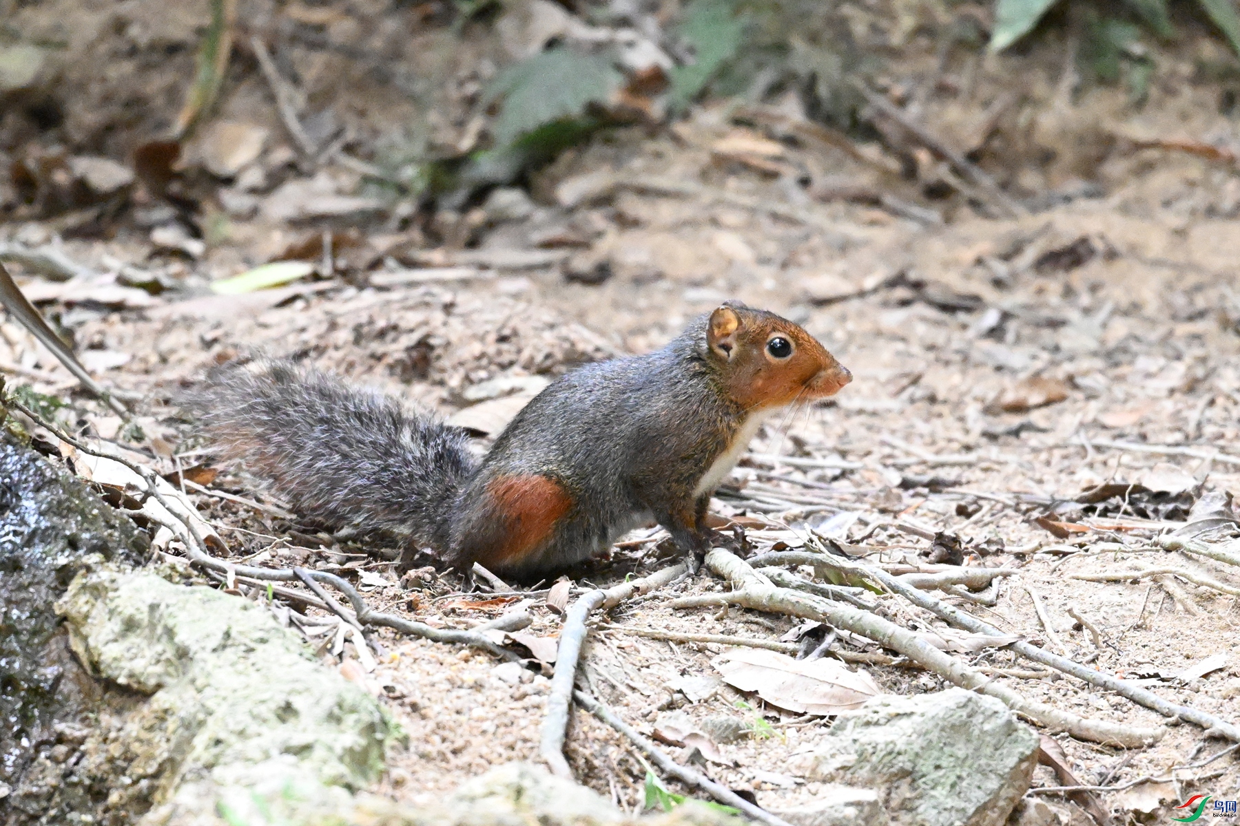 DSC_7569.JPG