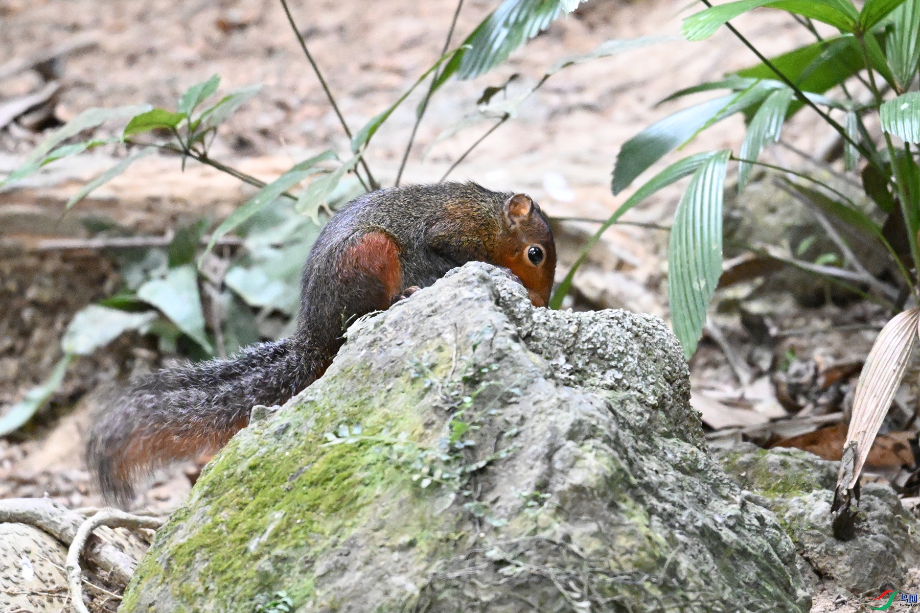 DSC_7572.JPG