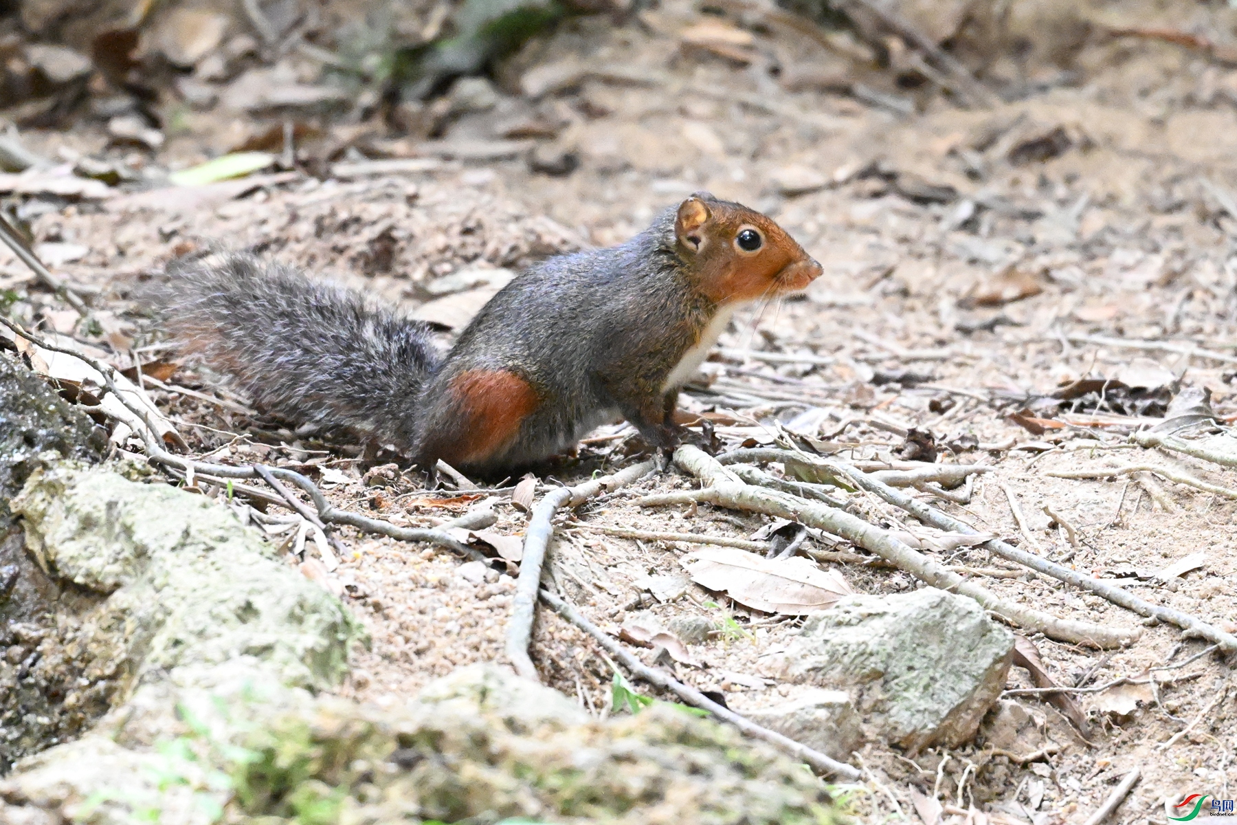 DSC_7570.JPG