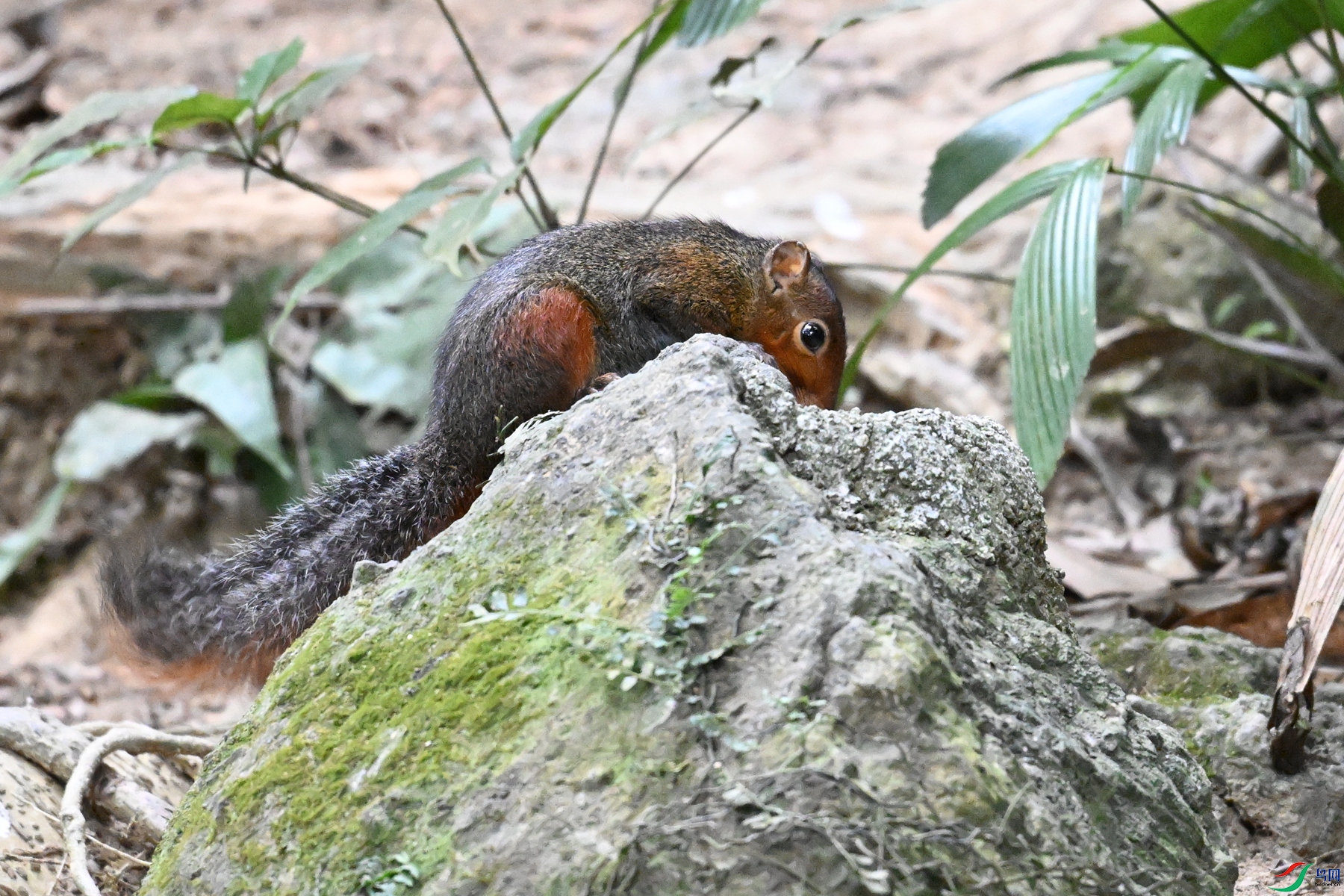 DSC_7573.JPG