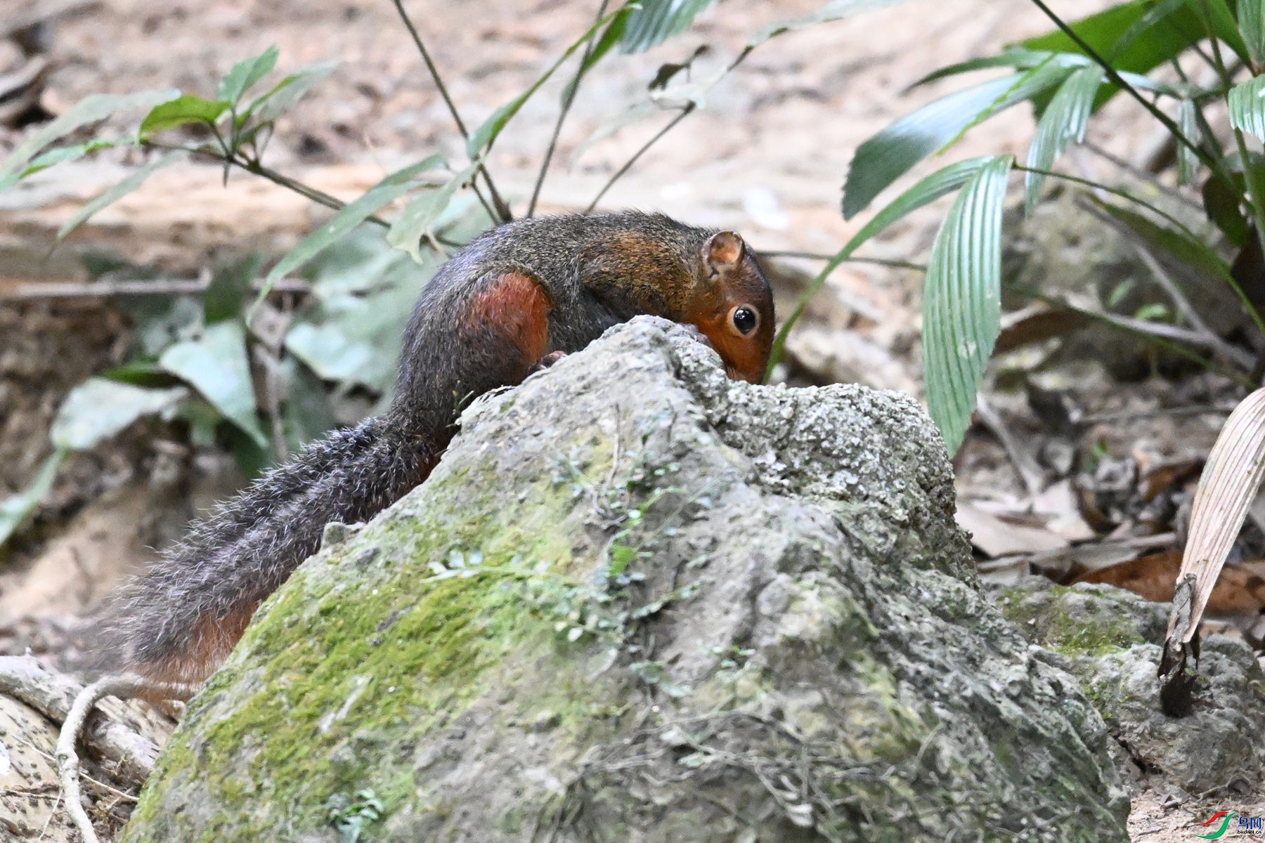 DSC_7574.JPG