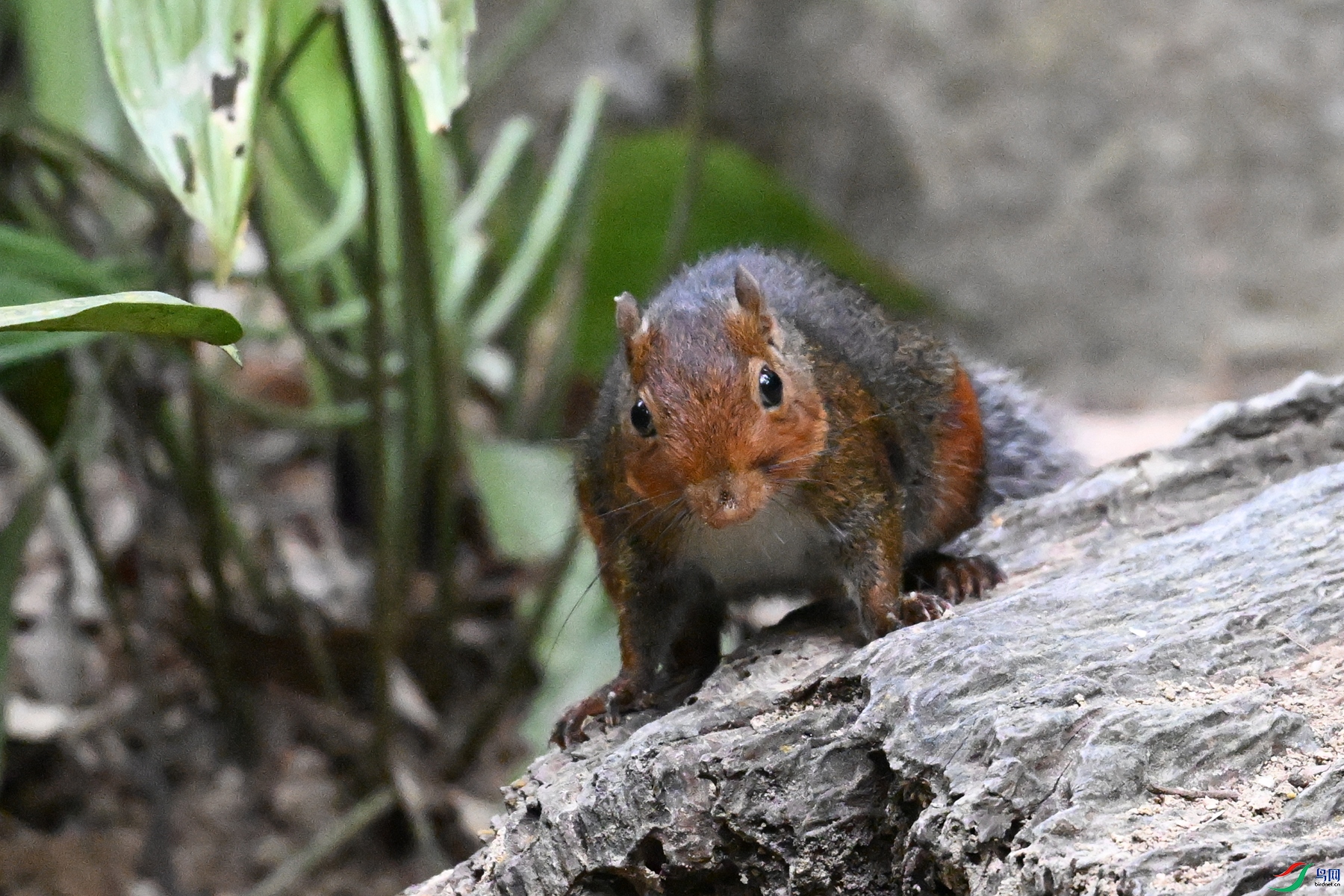 DSC_7640.JPG