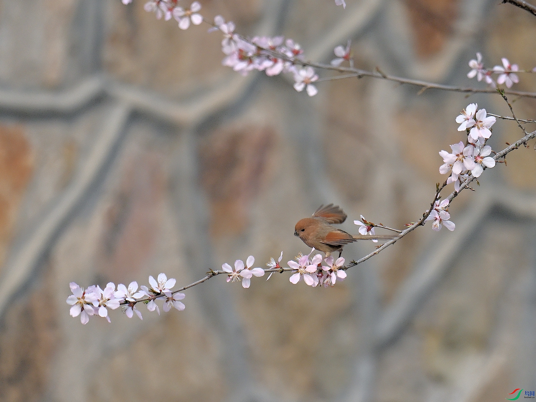 DSC_6375.JPG