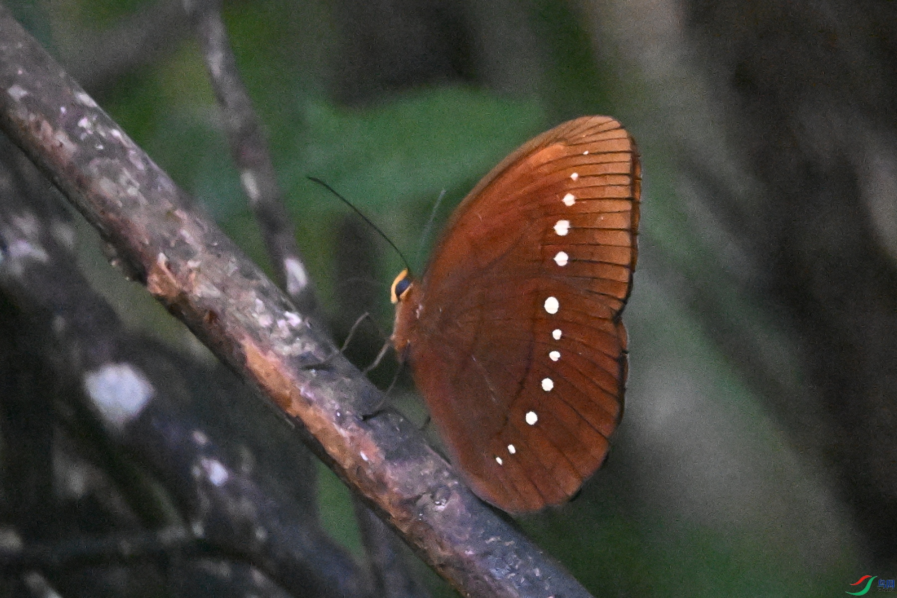 DSC_7456.JPG