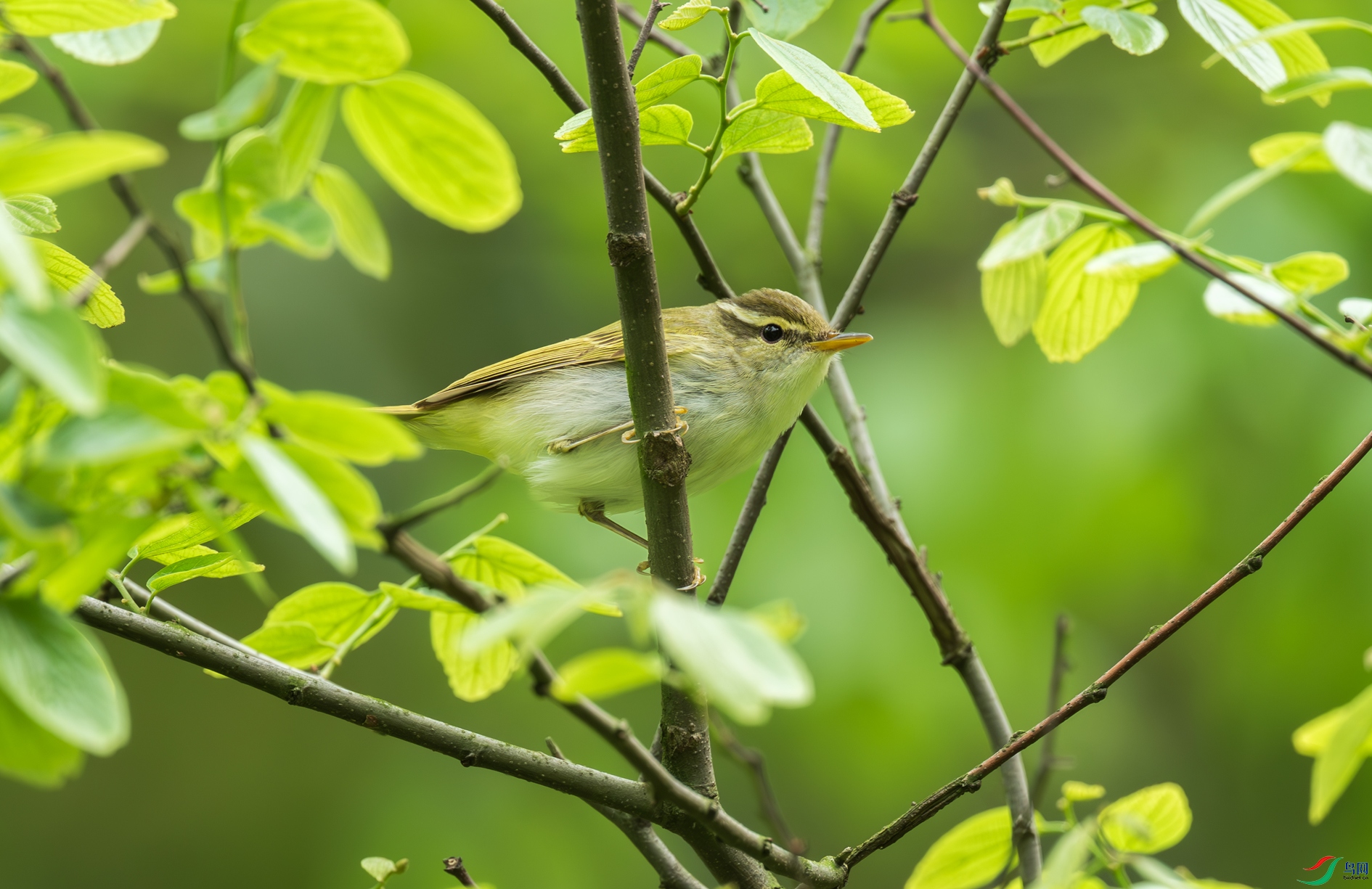 DSC_7886-1.jpg