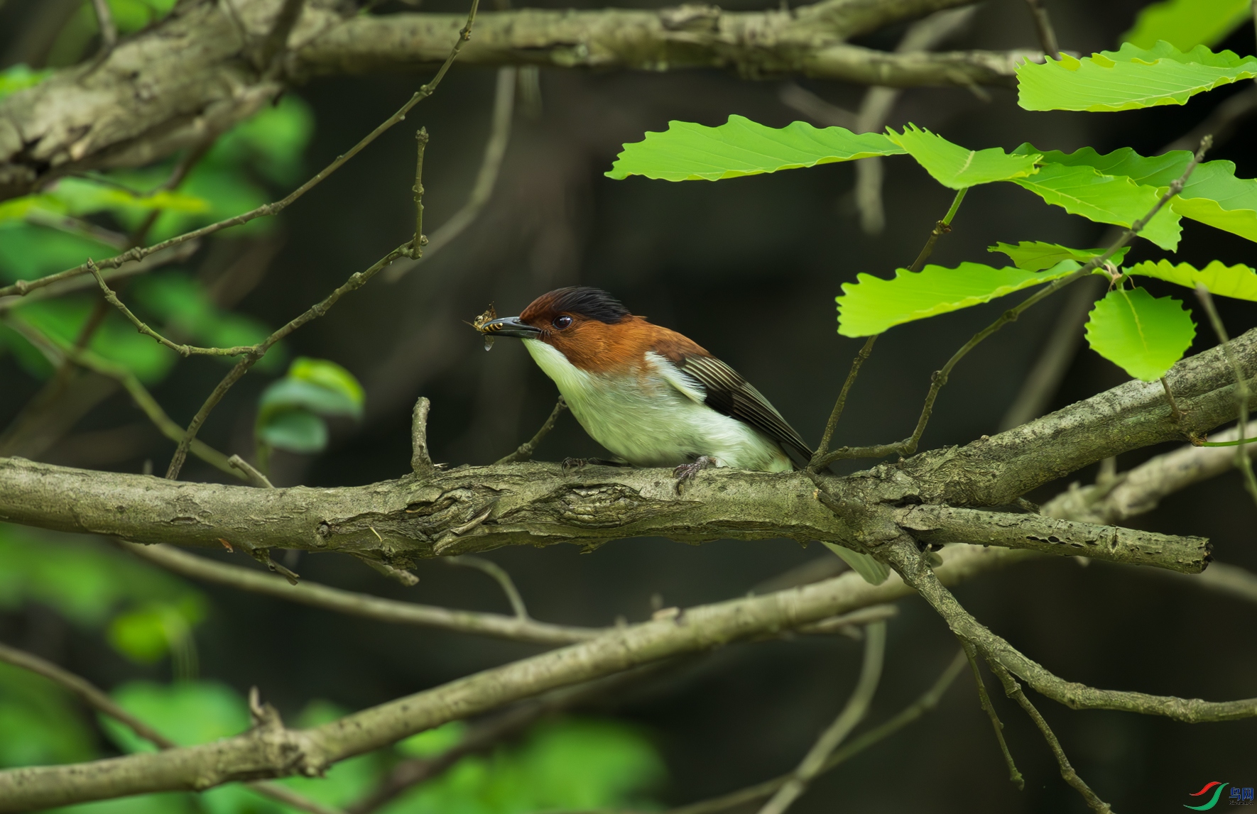 DSC_7990.jpg