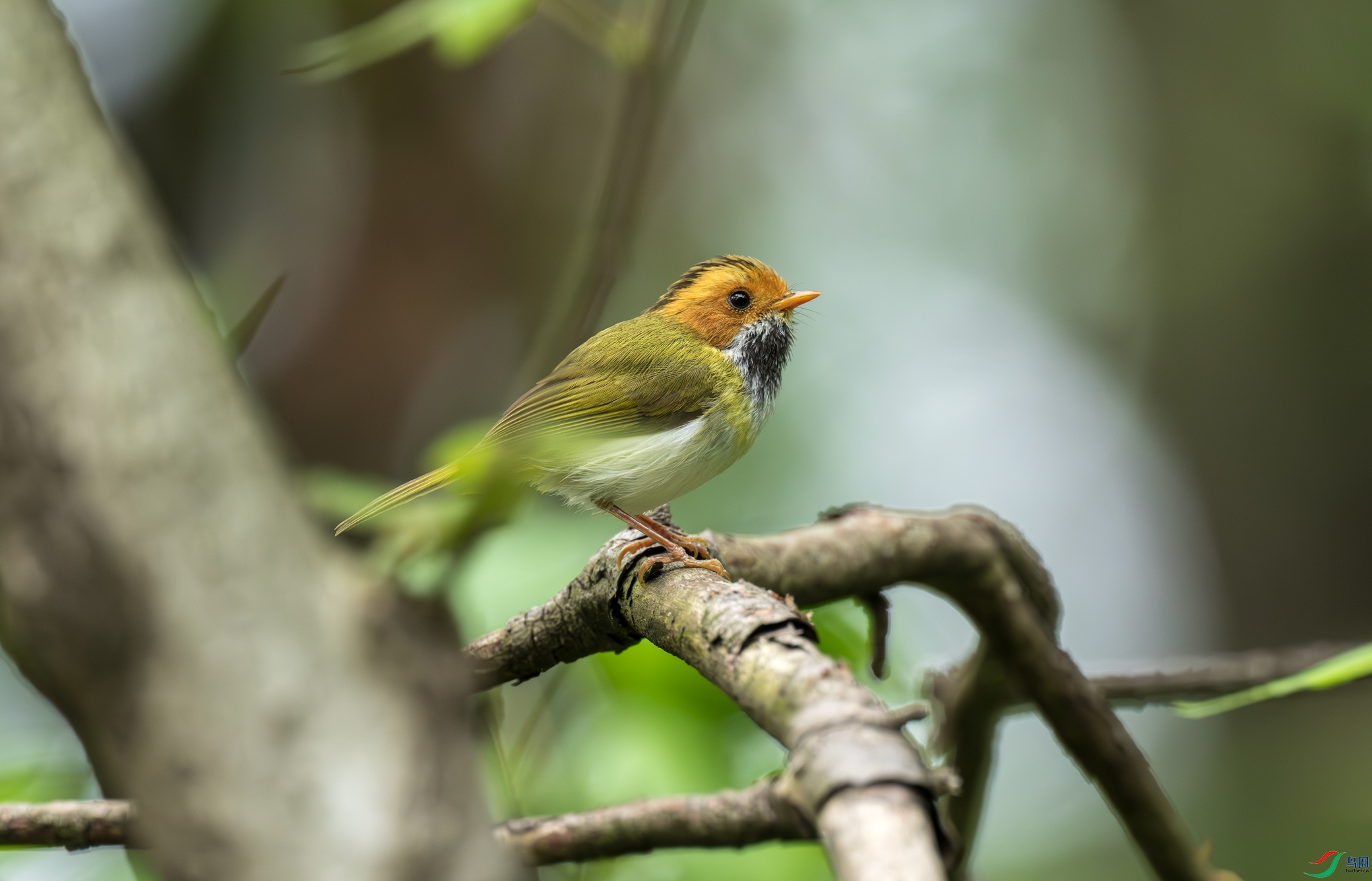 DSC_7666.jpg