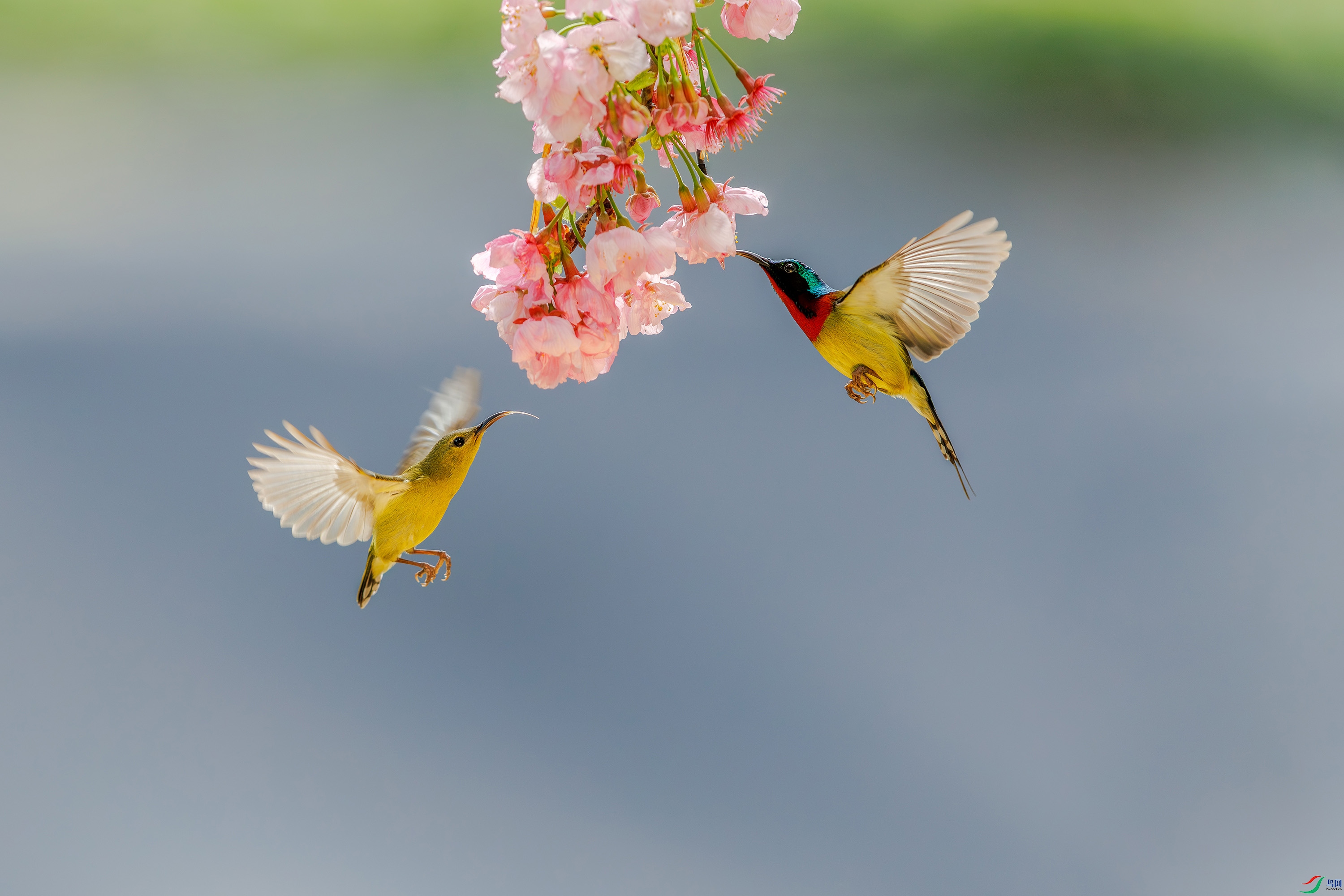 CYP_1302-1.jpg