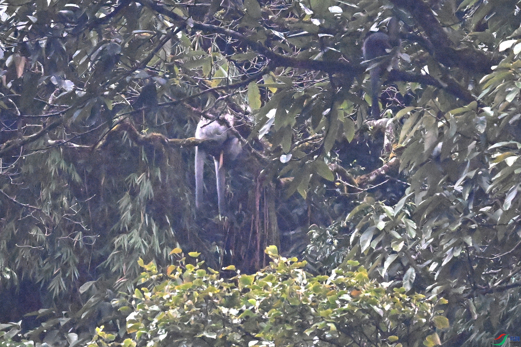DSC_0169.JPG