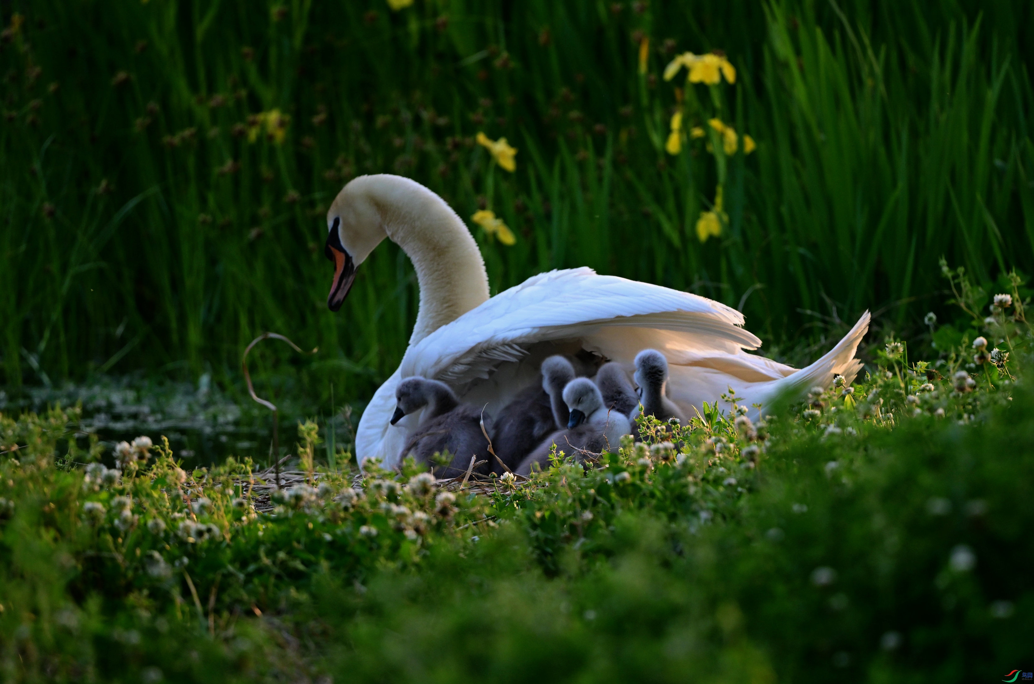 DSC_7178_��ͼ��_����.jpg