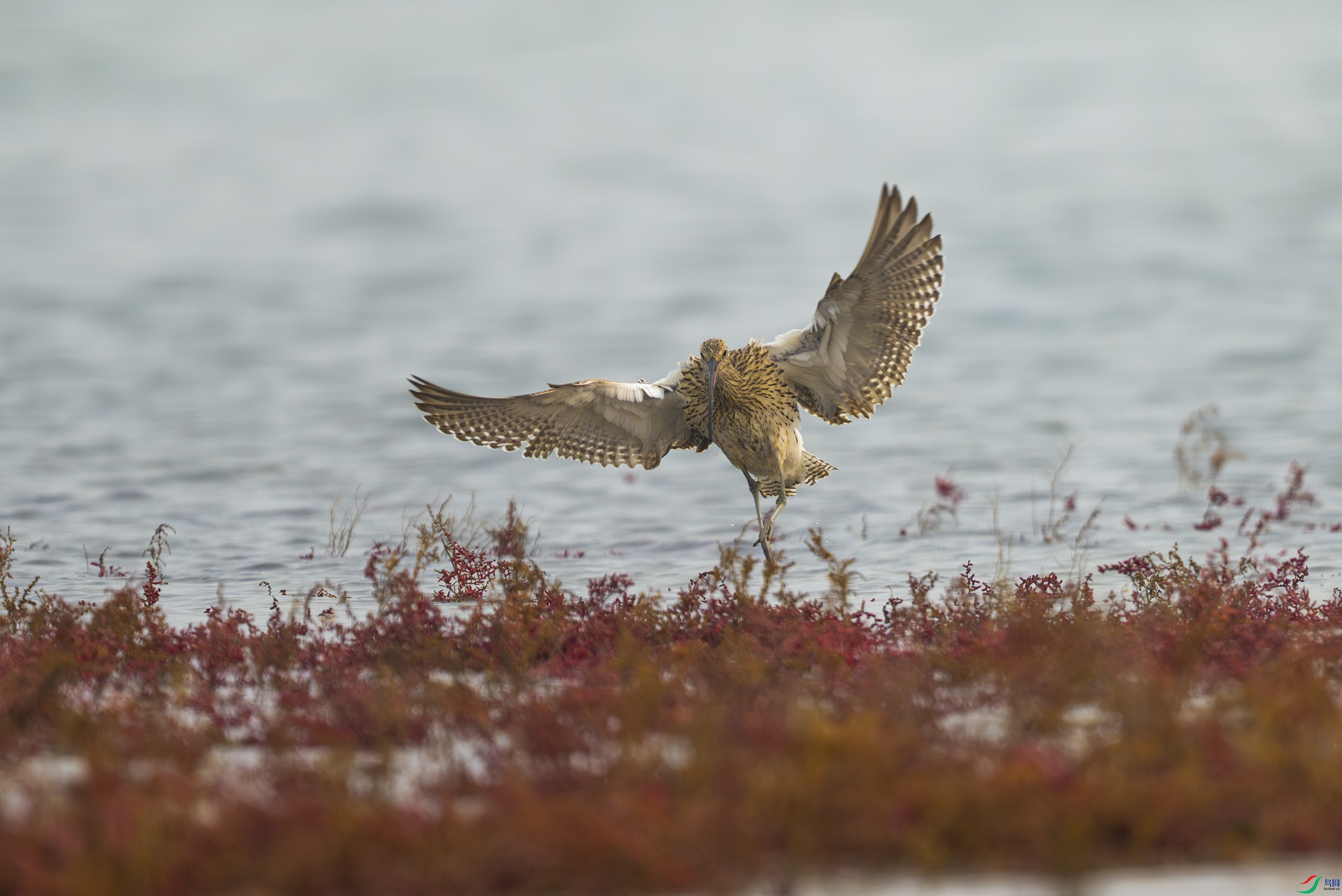 DSC_0756.jpg