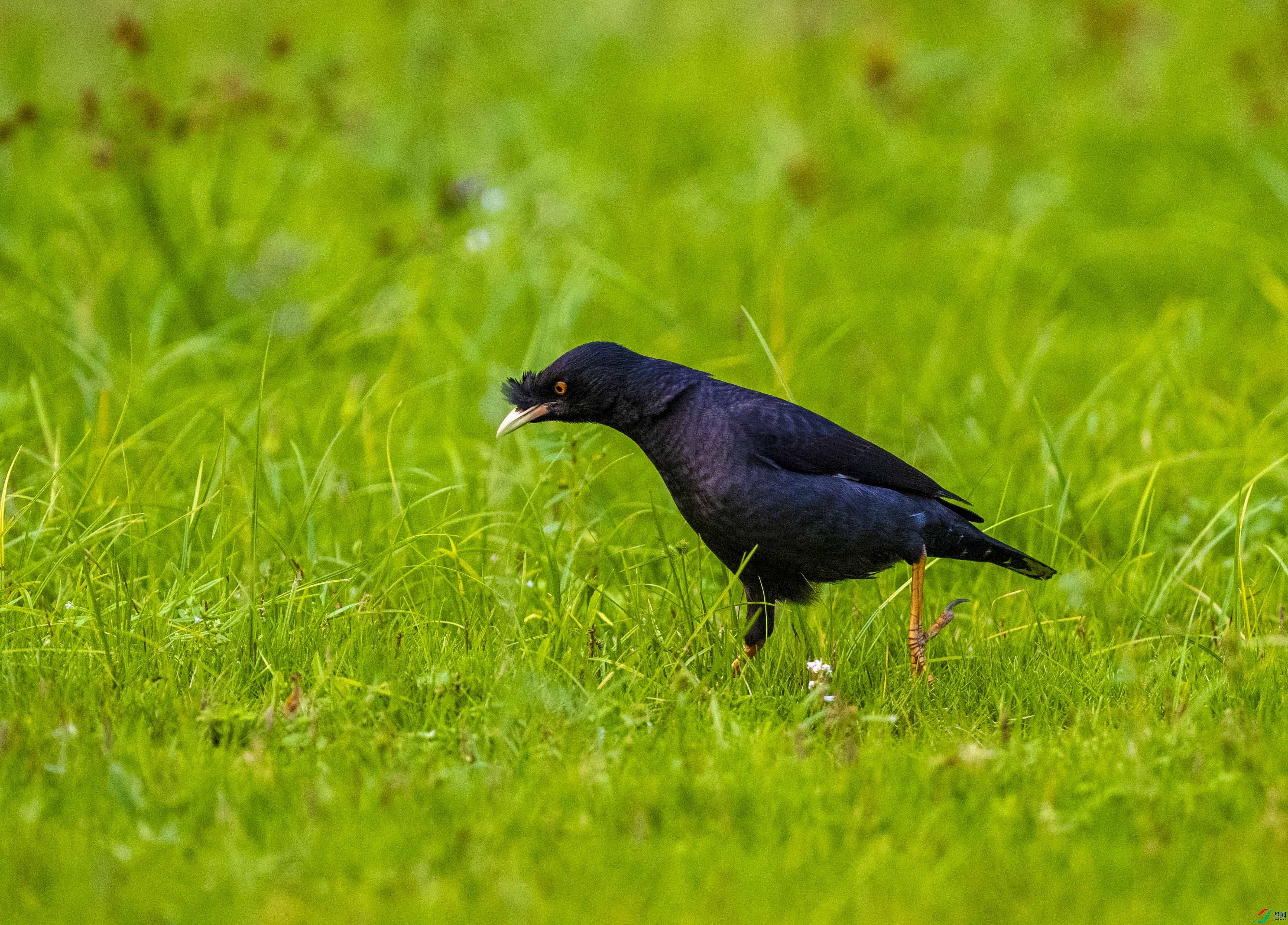 DSC_2034.jpg