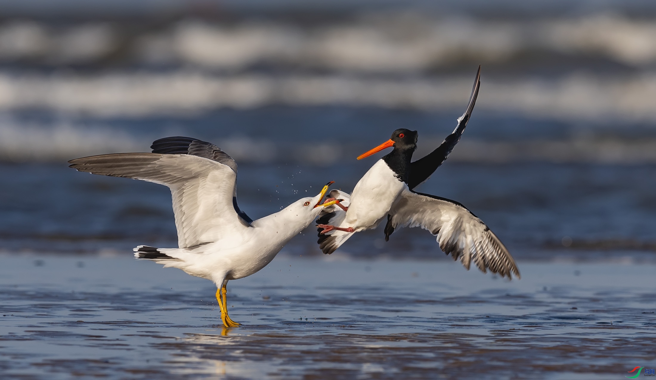 ��βŸ������