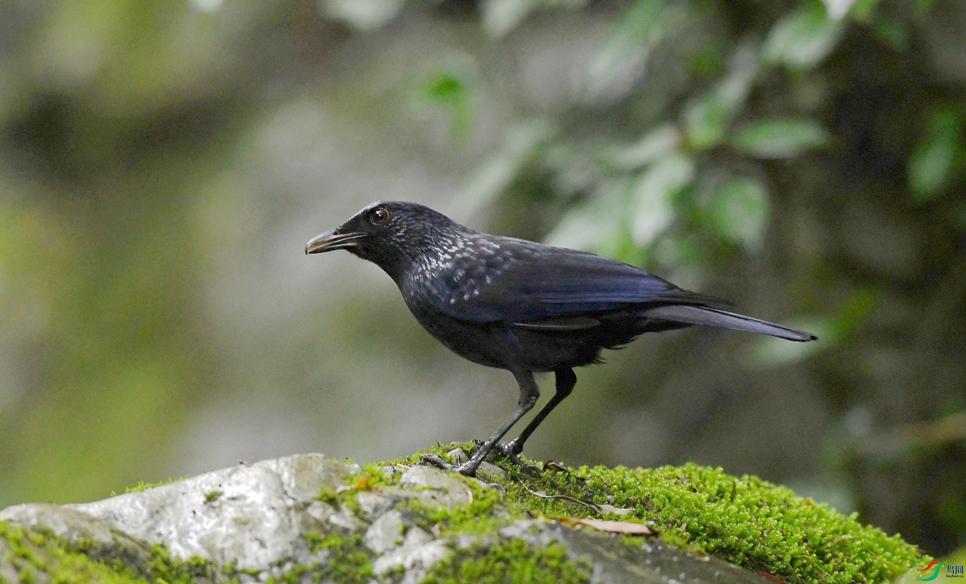 DSC_1025.jpg