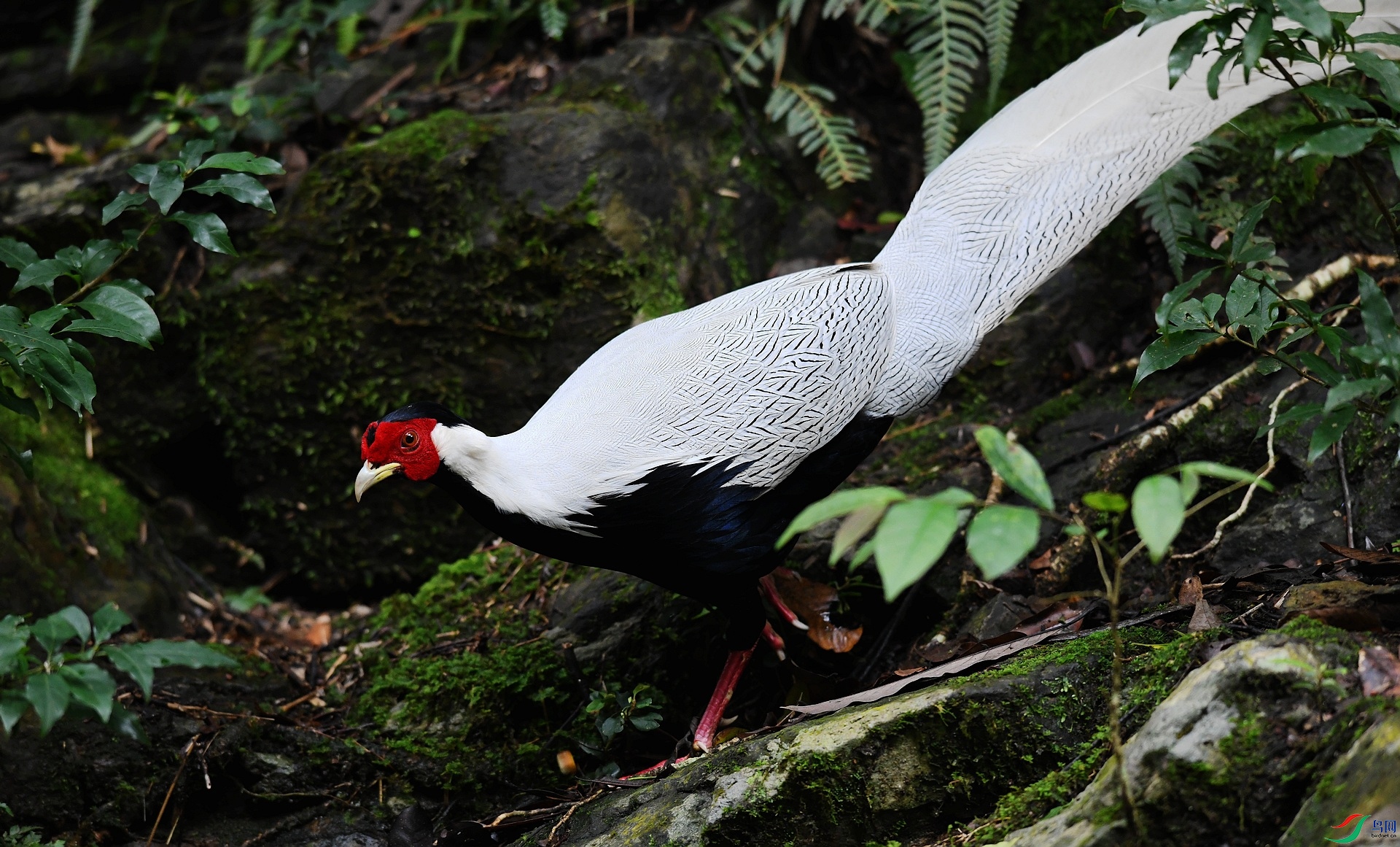 DSC_1174.jpg