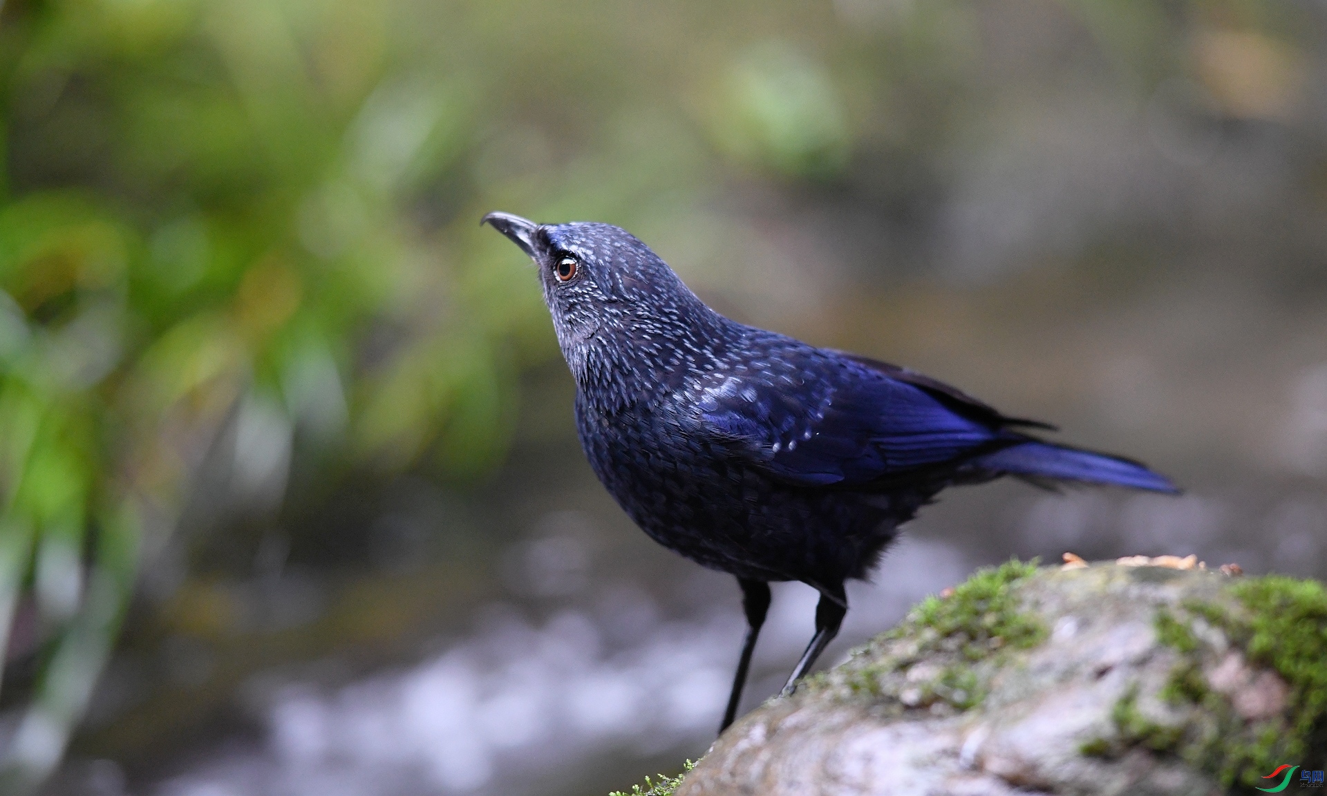 DSC_1132.jpg