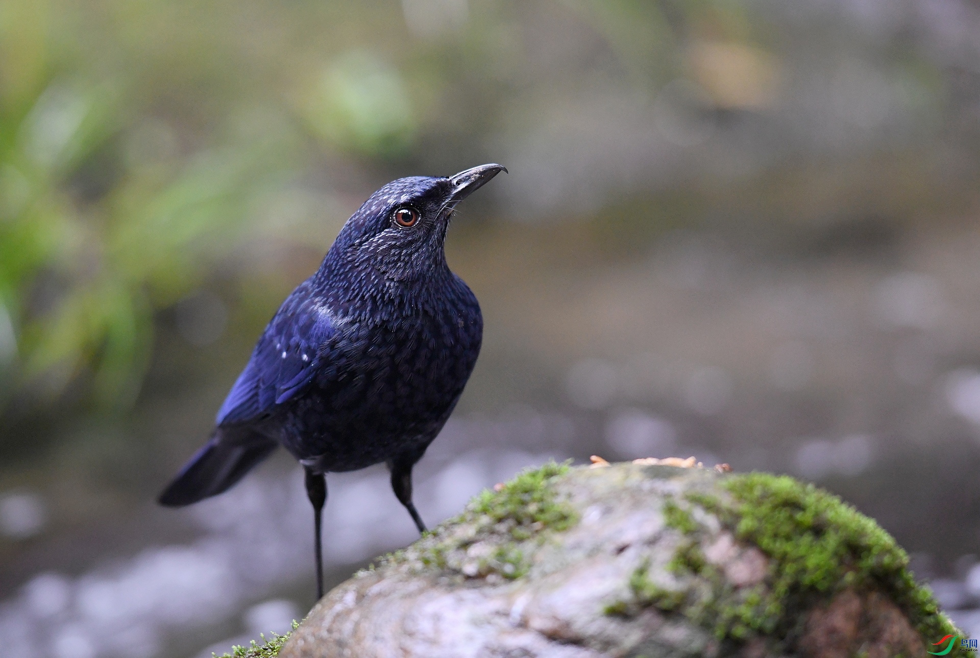 DSC_1116.jpg