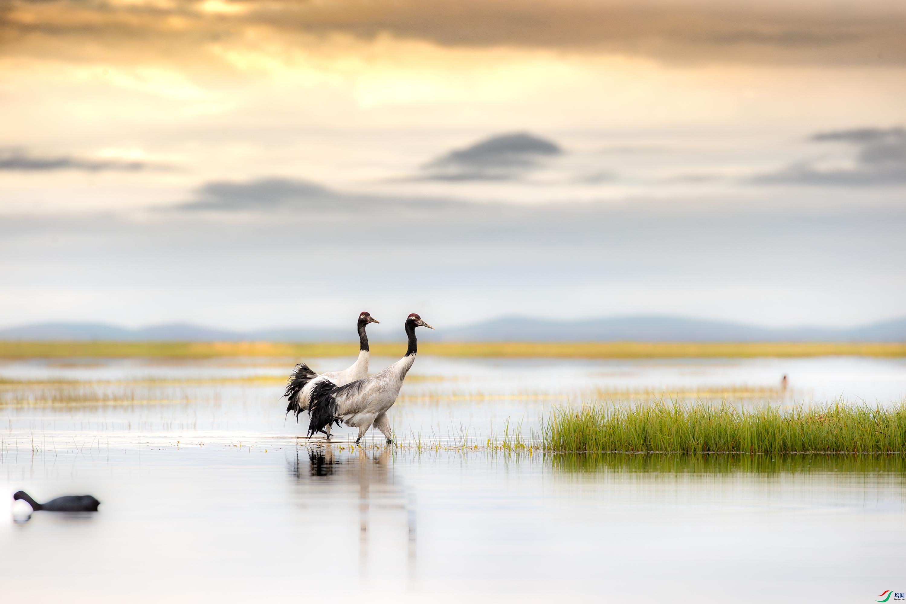 A15I2978-212 ����.jpg