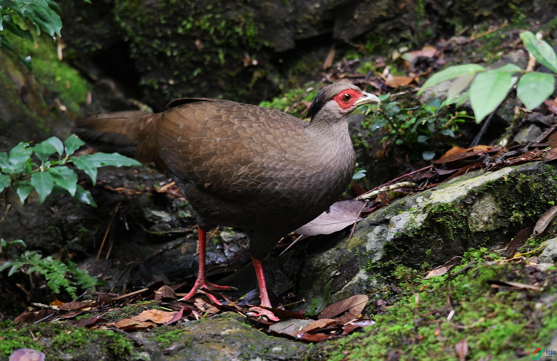 DSC_1510.jpg