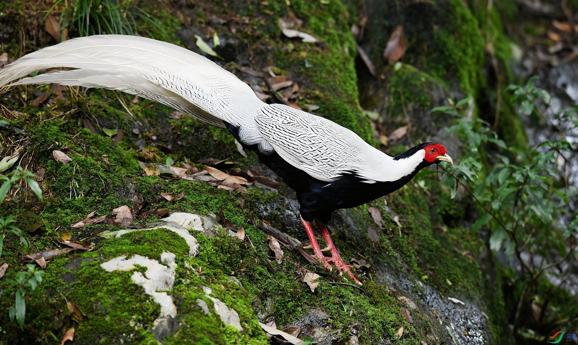 DSC_1416.jpg