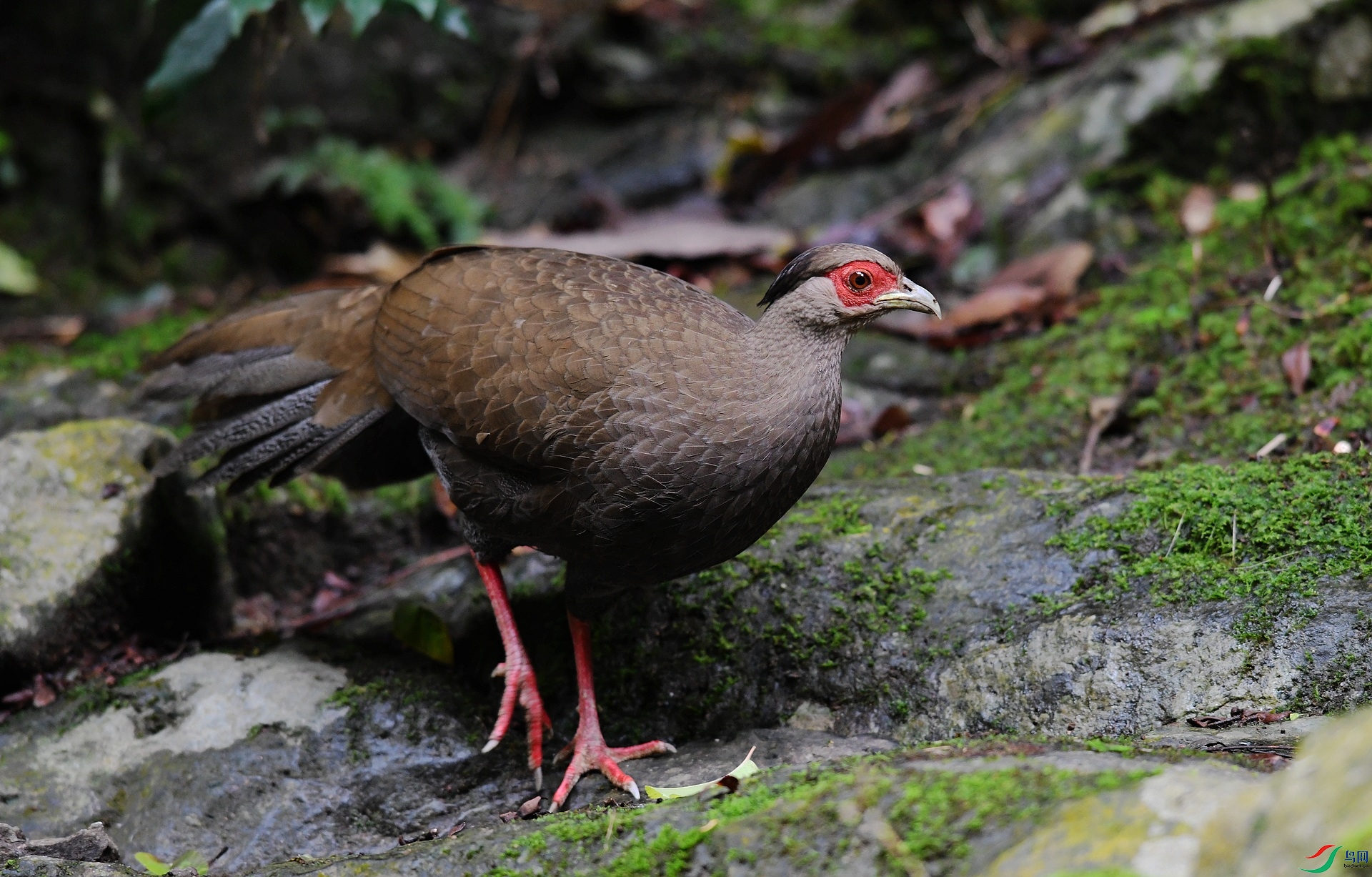DSC_1577.jpg