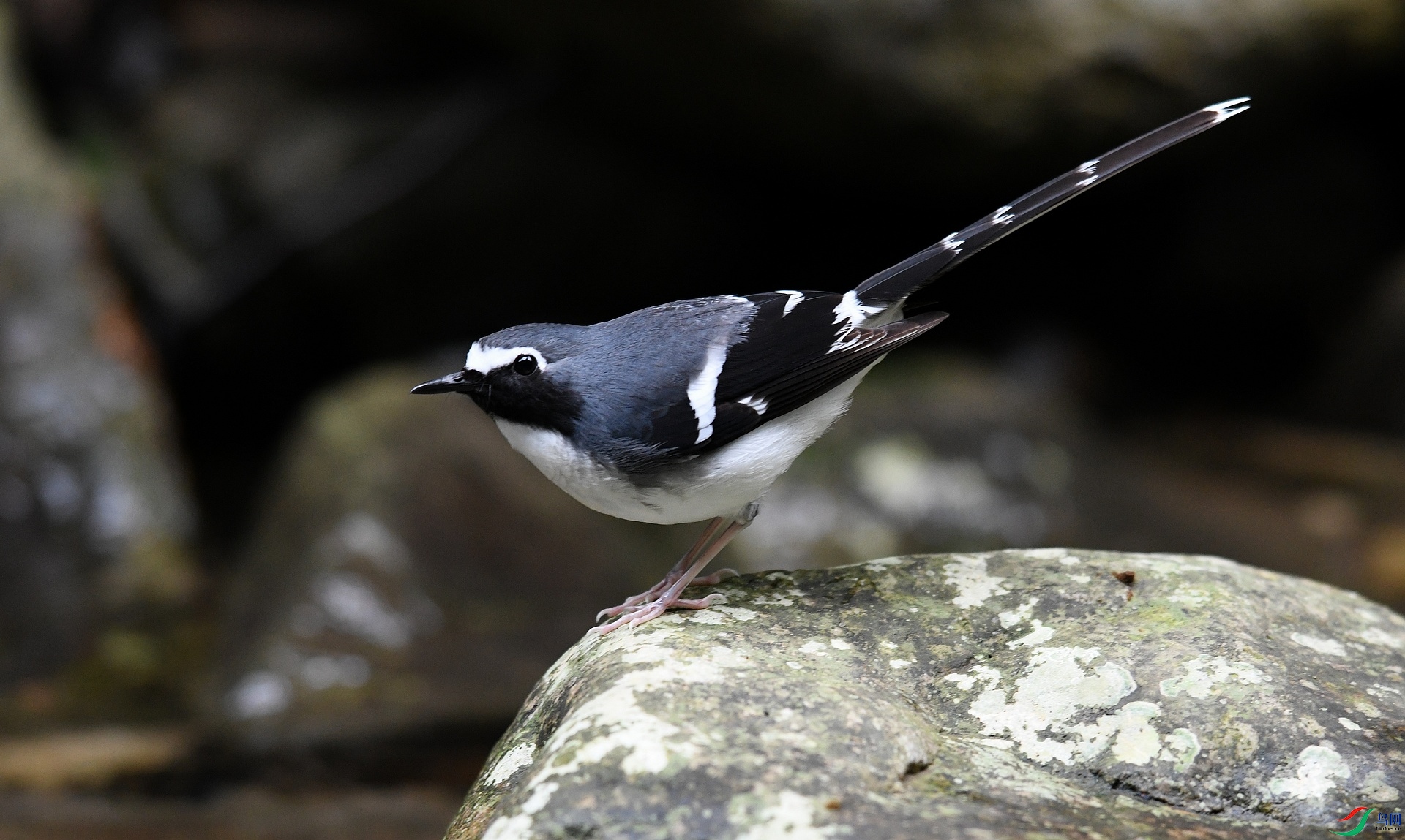 DSC_2247.jpg