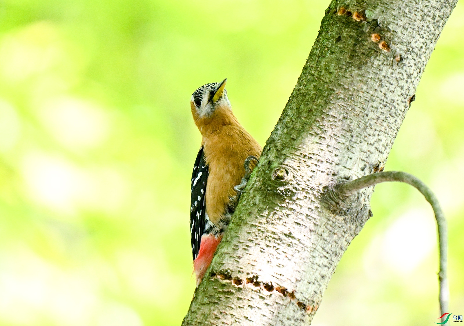 DSC_5159-2.jpg