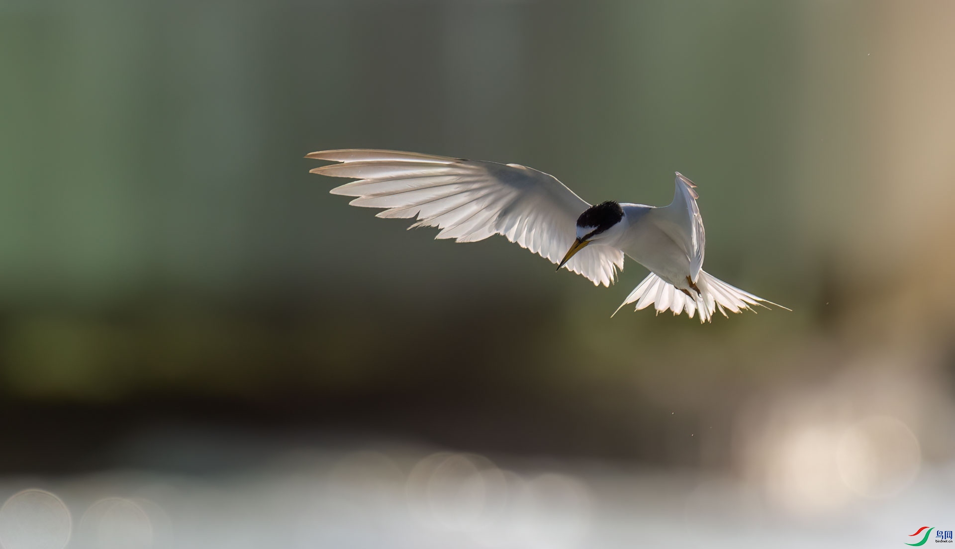 0L7A0338.jpg