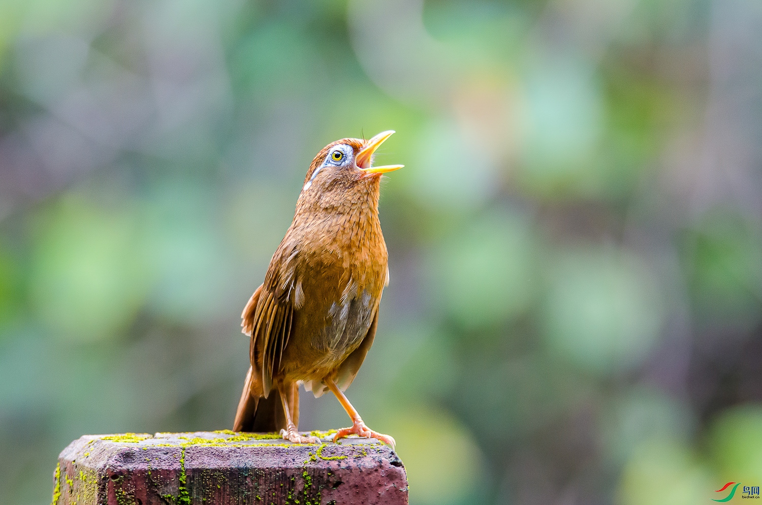 DSC_7083.jpg