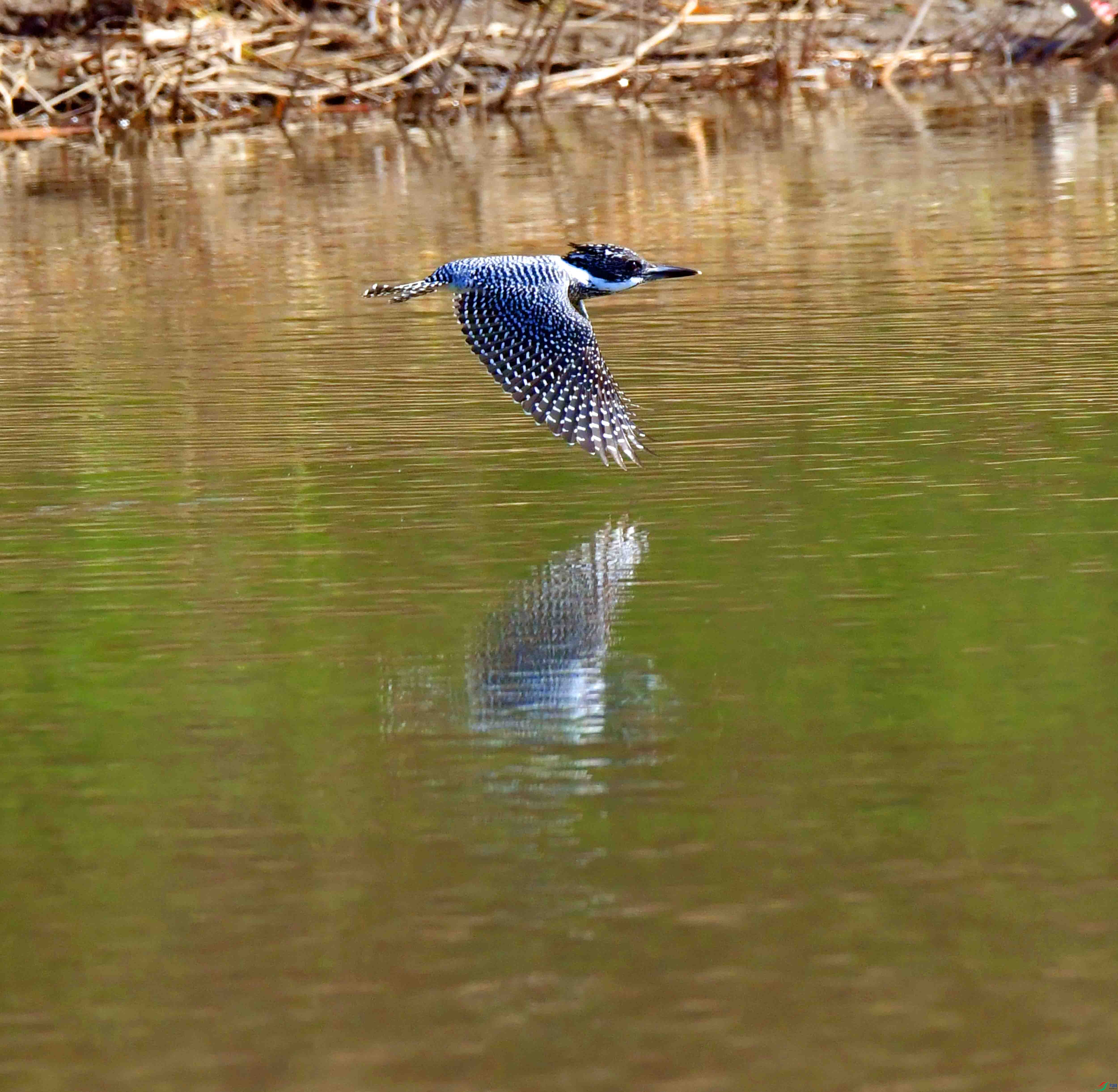 DSC_8647.JPG